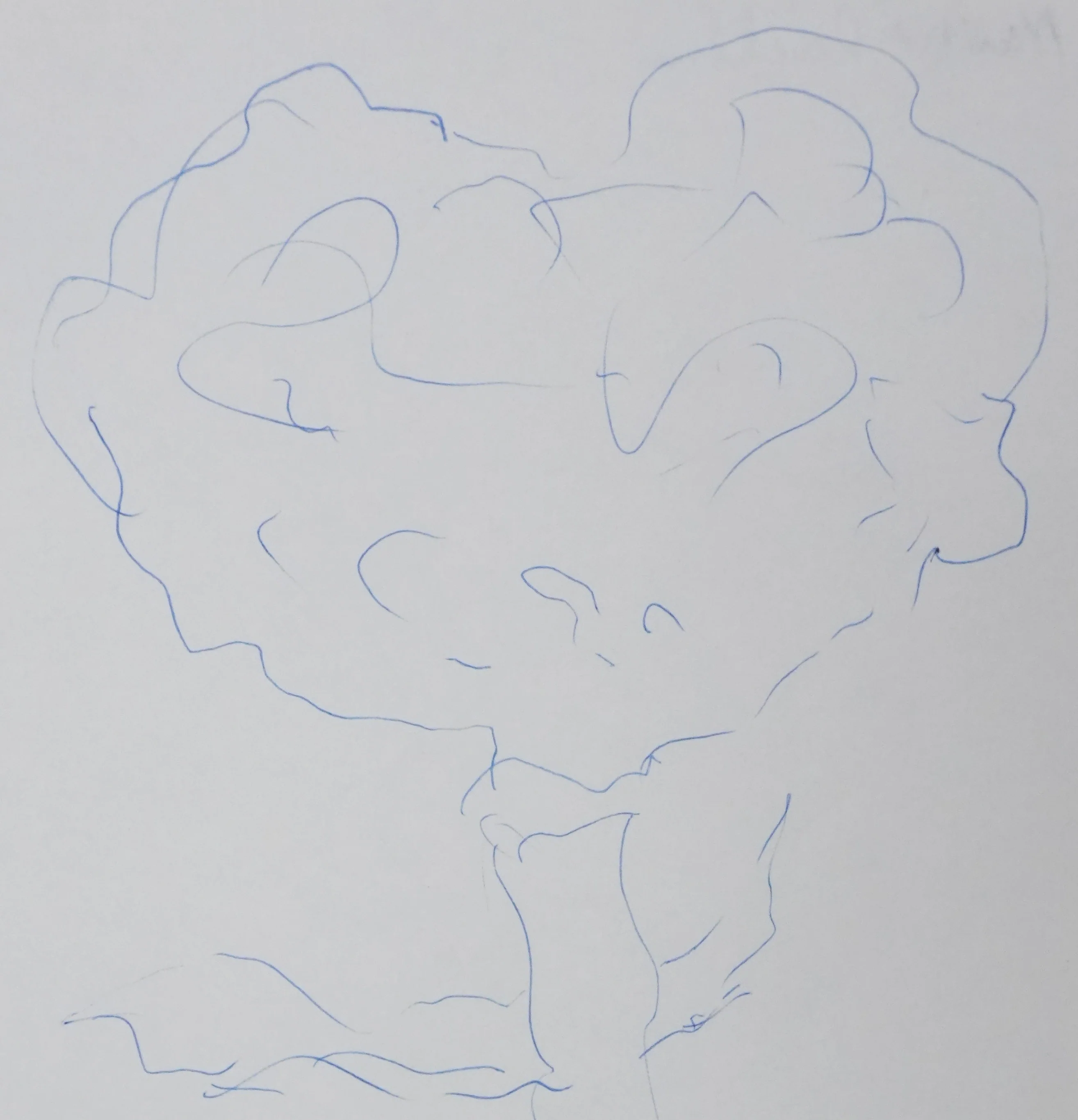 Michel RACHLINE : L'homme qui fait fleurir les arbres, Autographe et dessin original signé - Image 4