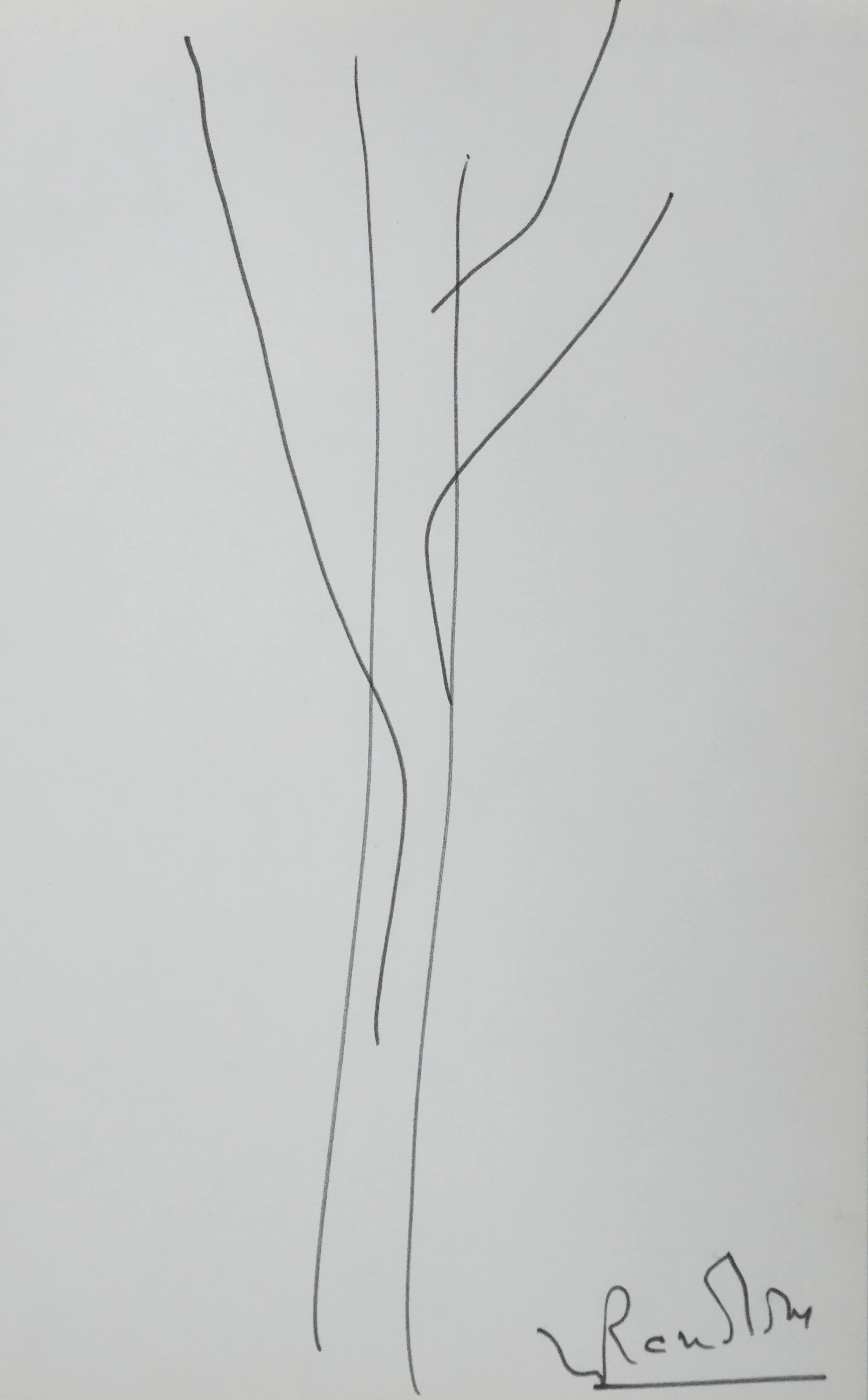 Michel RANDOM : Les tiges végétales, Autographe et dessin original signé
