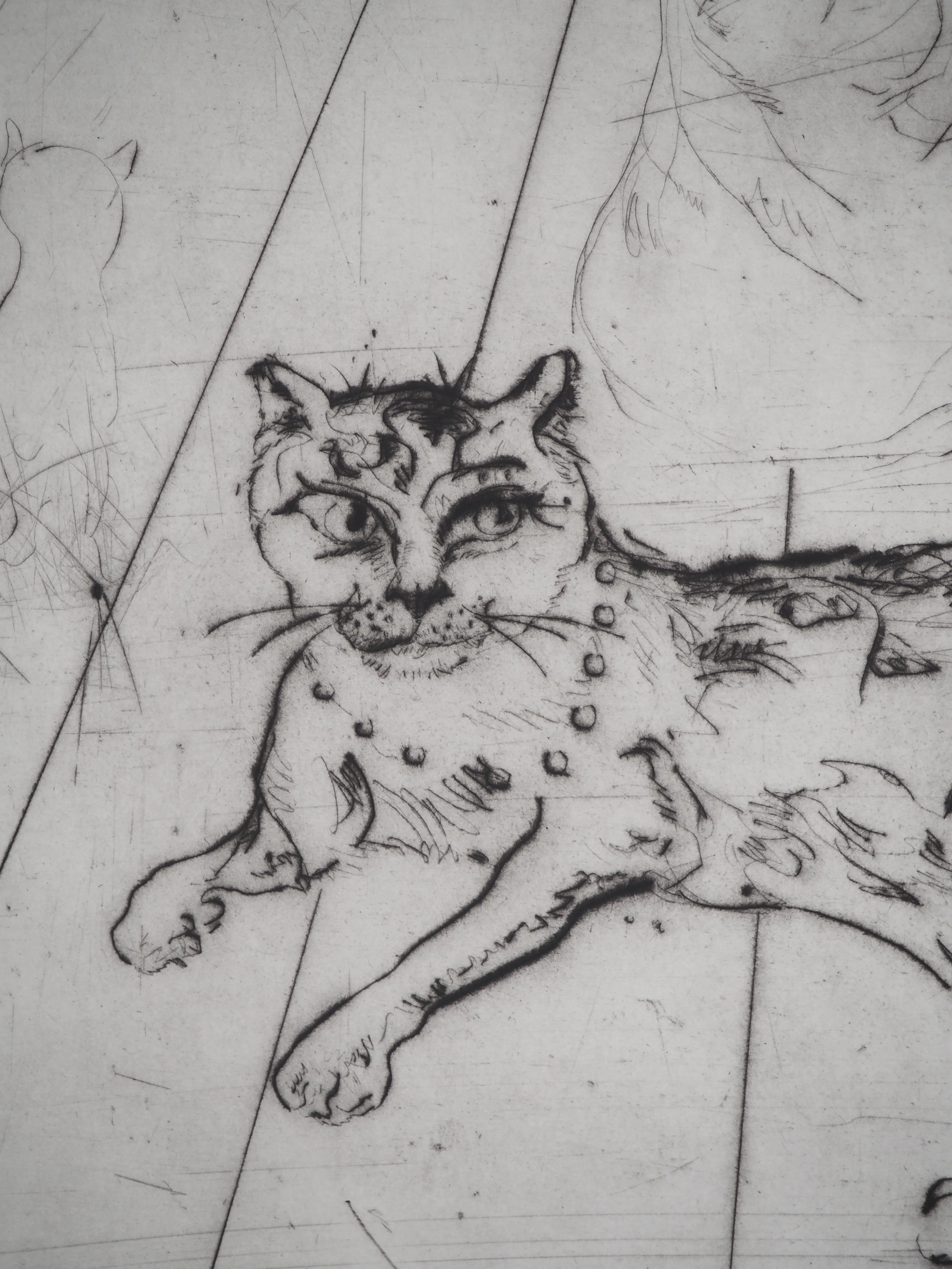 Mordecaï MOREH : Les chats, Gravure originale signée - Image 4