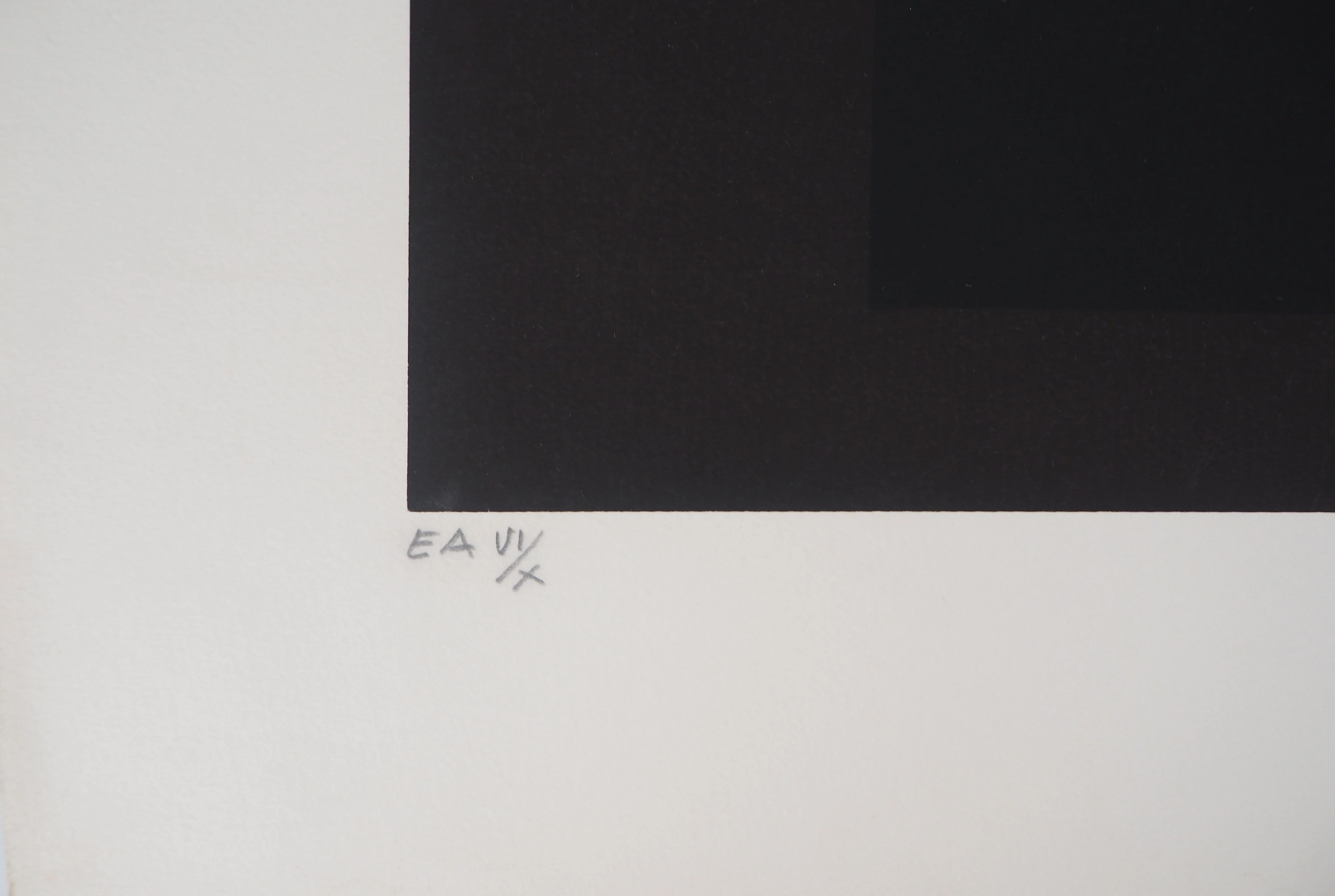 Omer RESIC : Le tapis coloré, Lithographie originale signée - Image 5