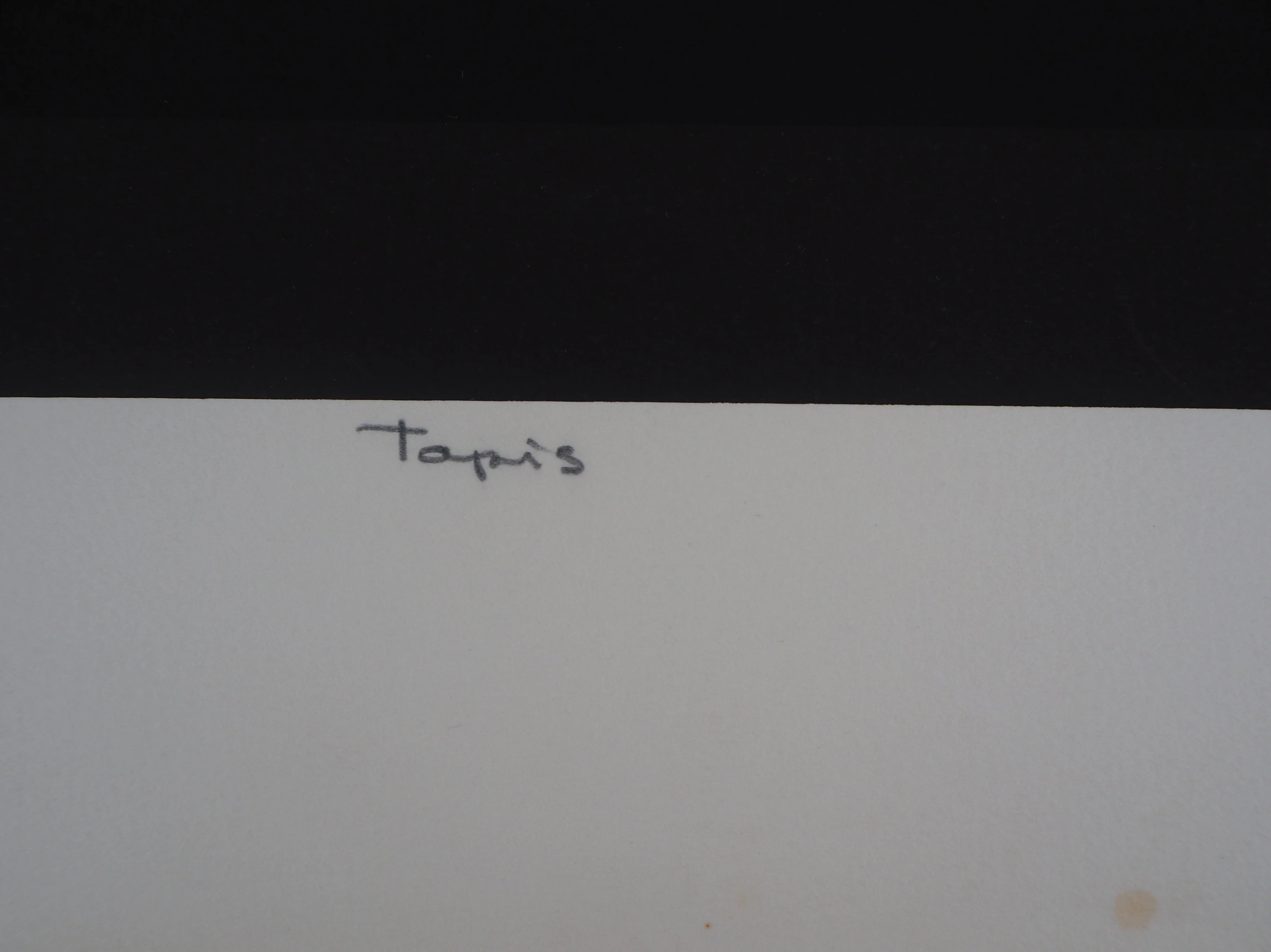Omer RESIC : Le tapis coloré, Lithographie originale signée - Image 6