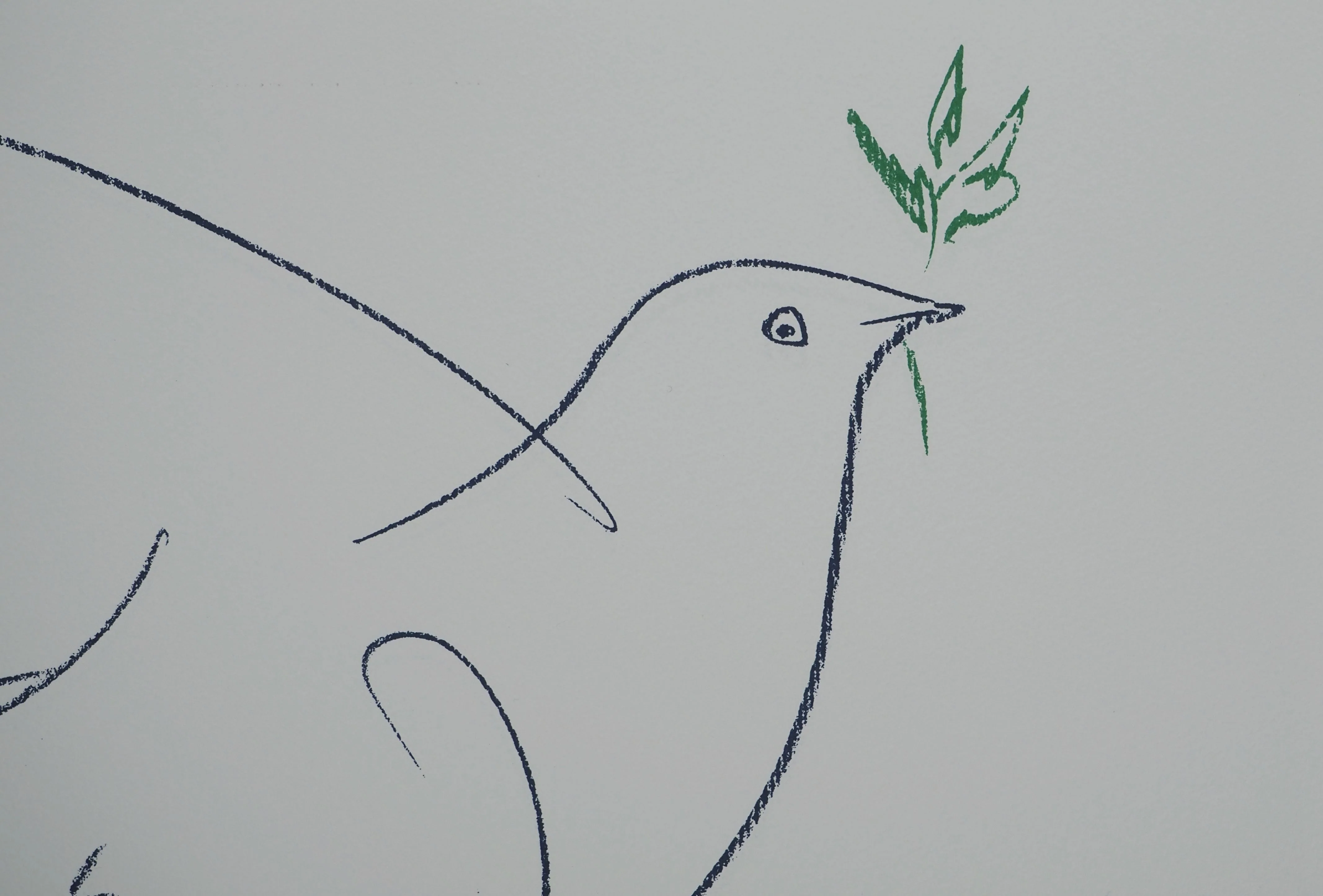 Pablo PICASSO : La colombe bleue, Lithographie signée - Image 4