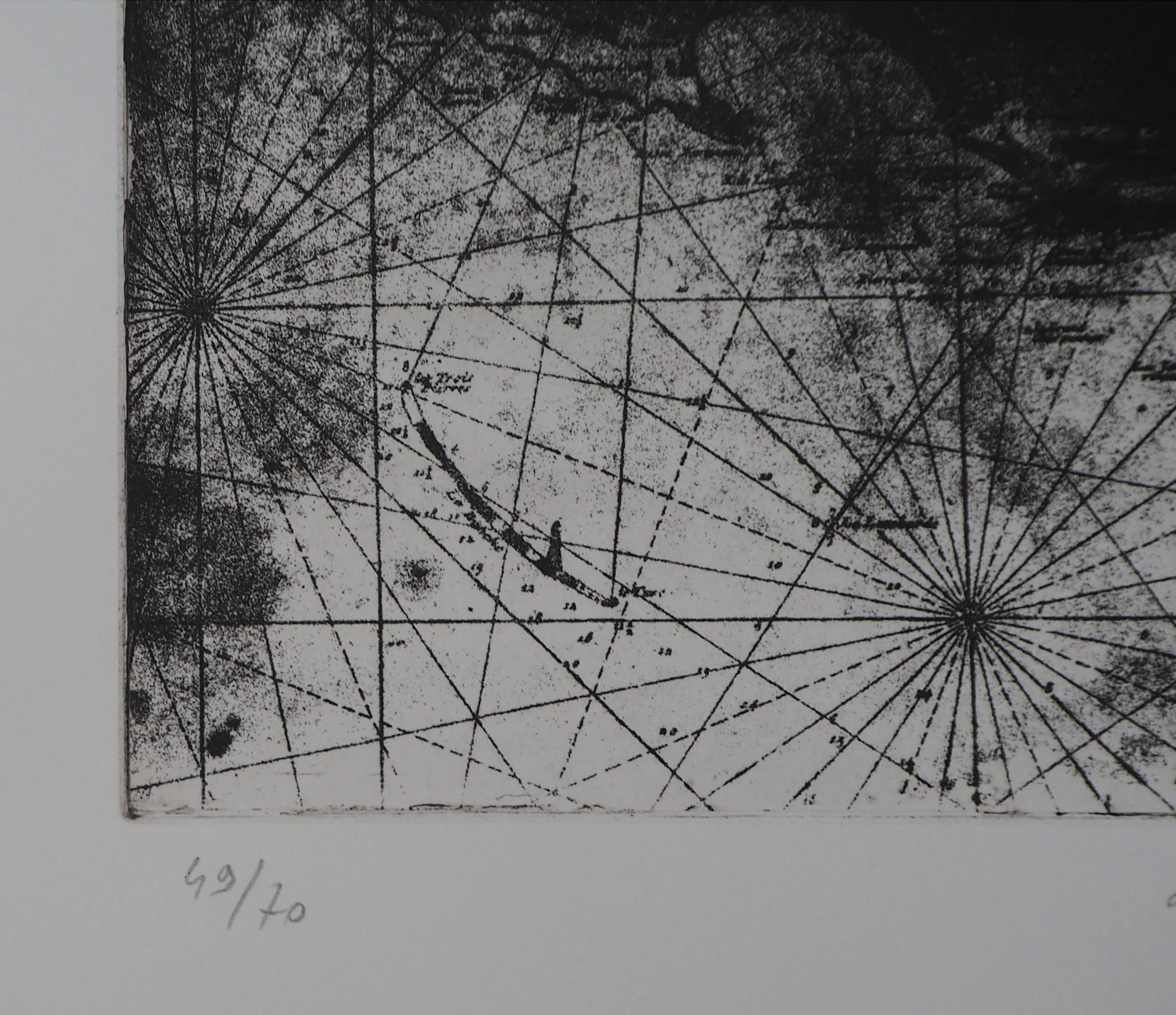 Isabelle PANAUD : Le pélican, Gravure originale signée - Image 6