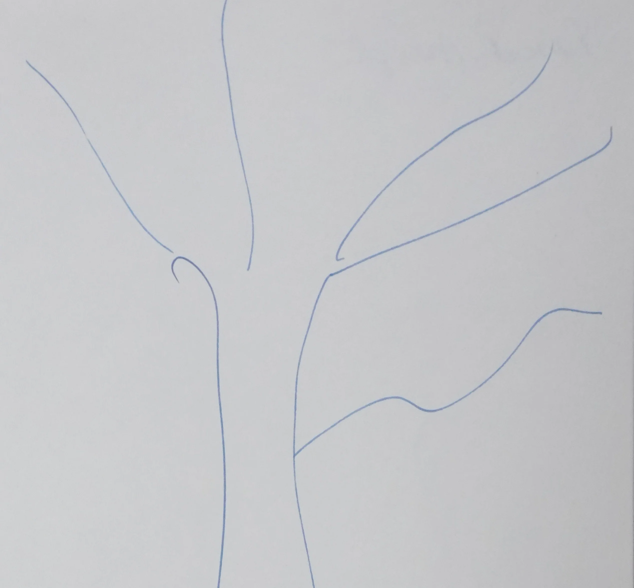 Pascal ARRIGHI : Forme arborescente, Autographe et dessin original signé - Image 4