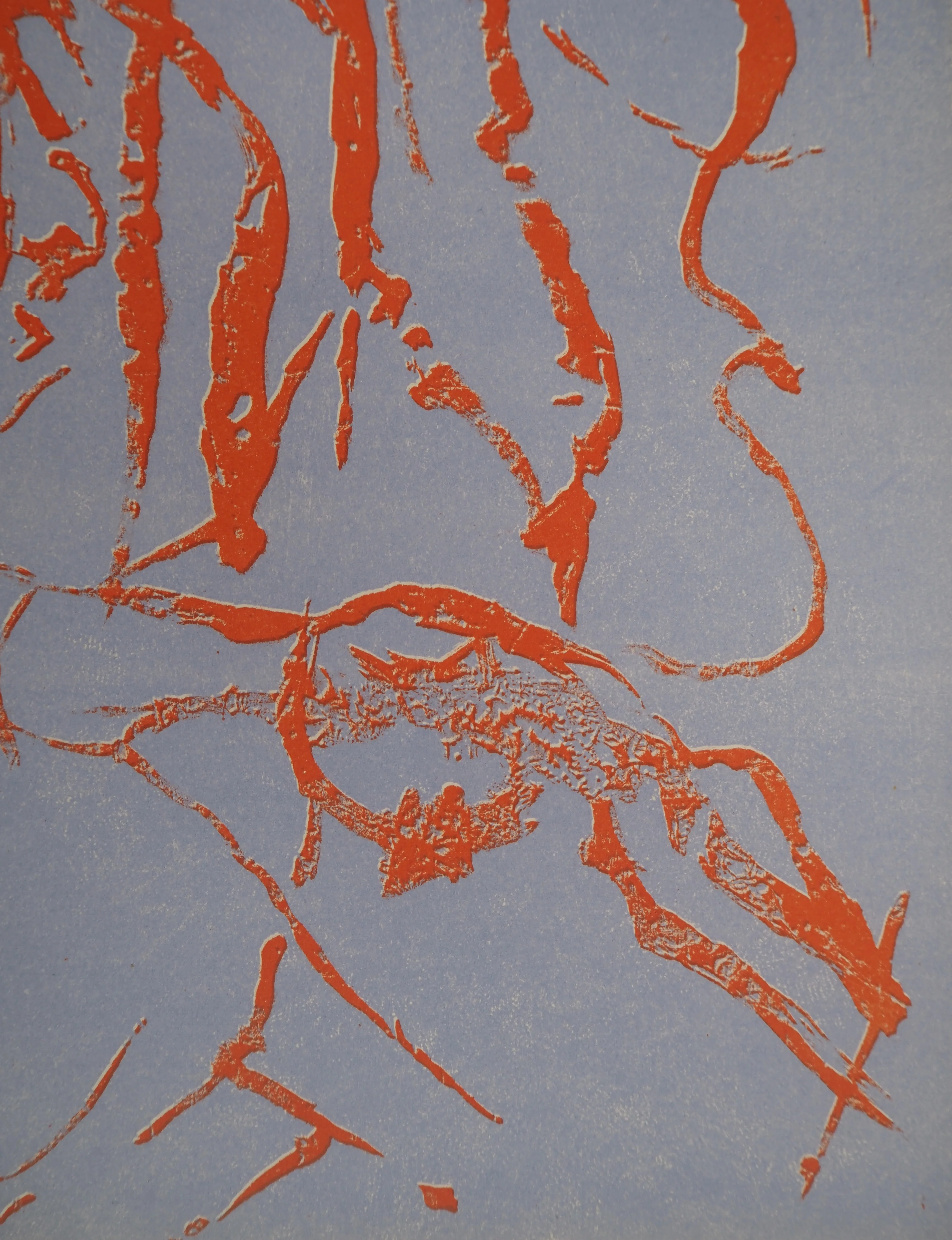 Pierre ALECHINSKY : Remarques, Lithographie originale - Image 2
