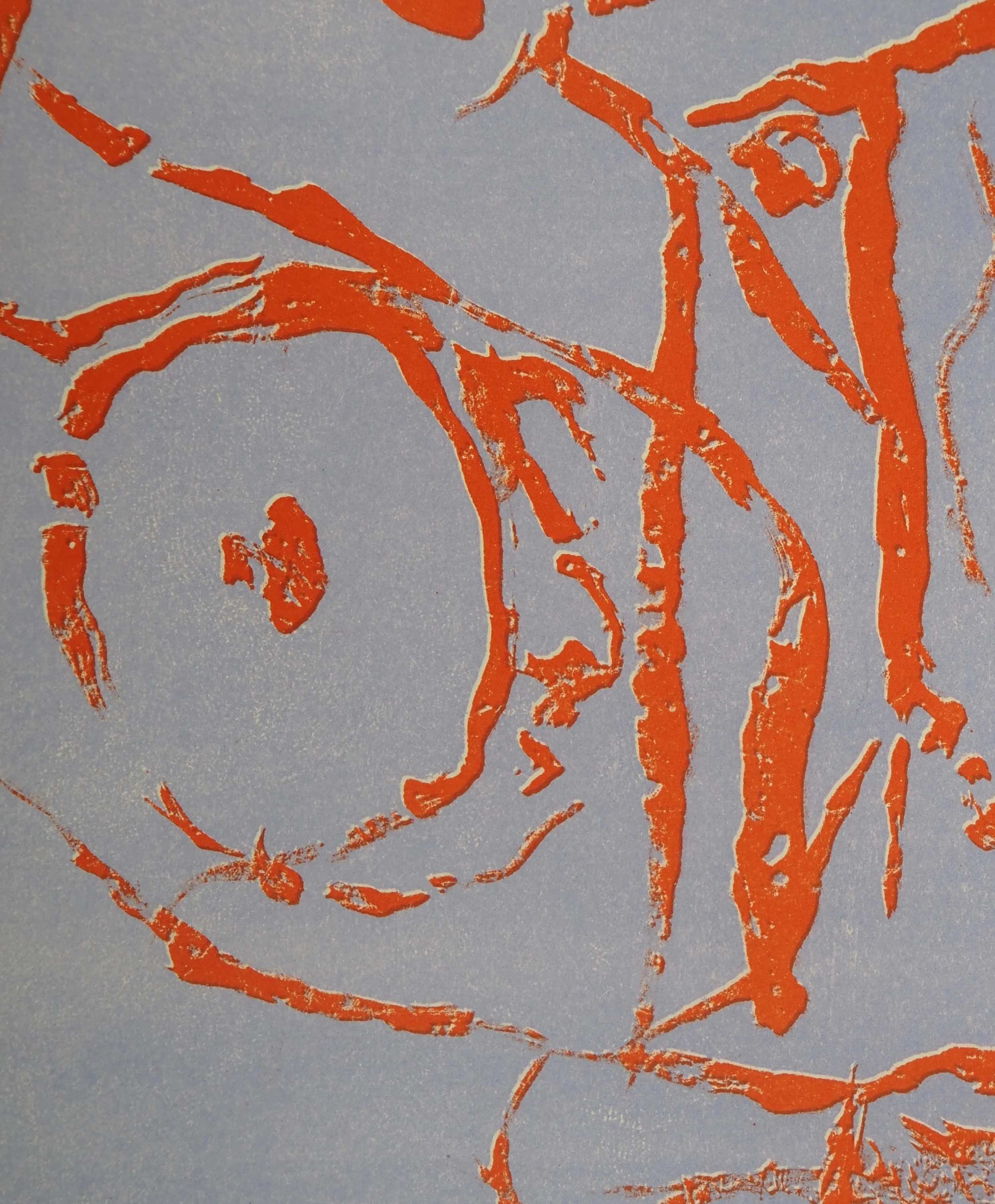 Pierre ALECHINSKY : Remarques, Lithographie originale - Image 3