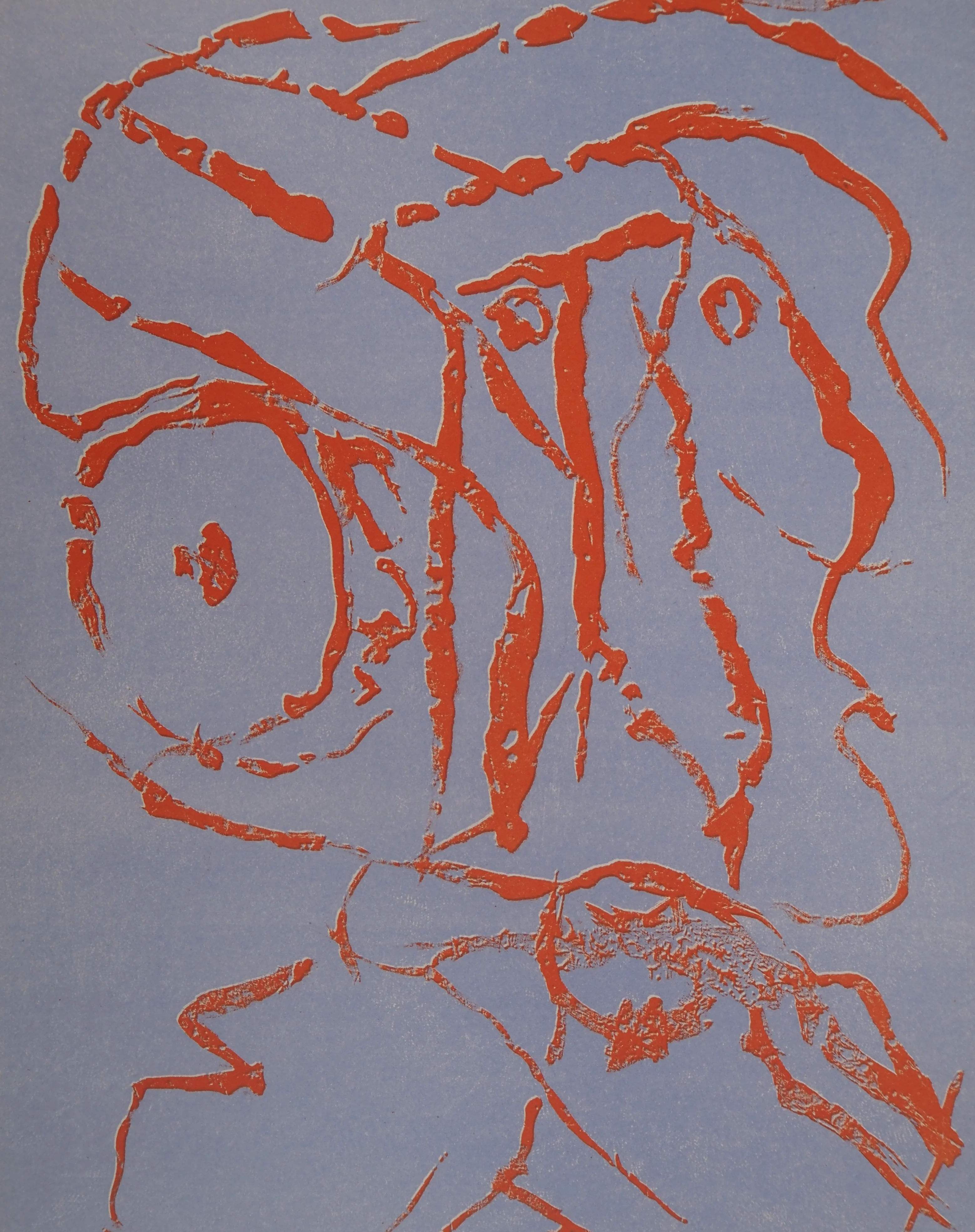 Pierre ALECHINSKY : Remarques, Lithographie originale - Image 4