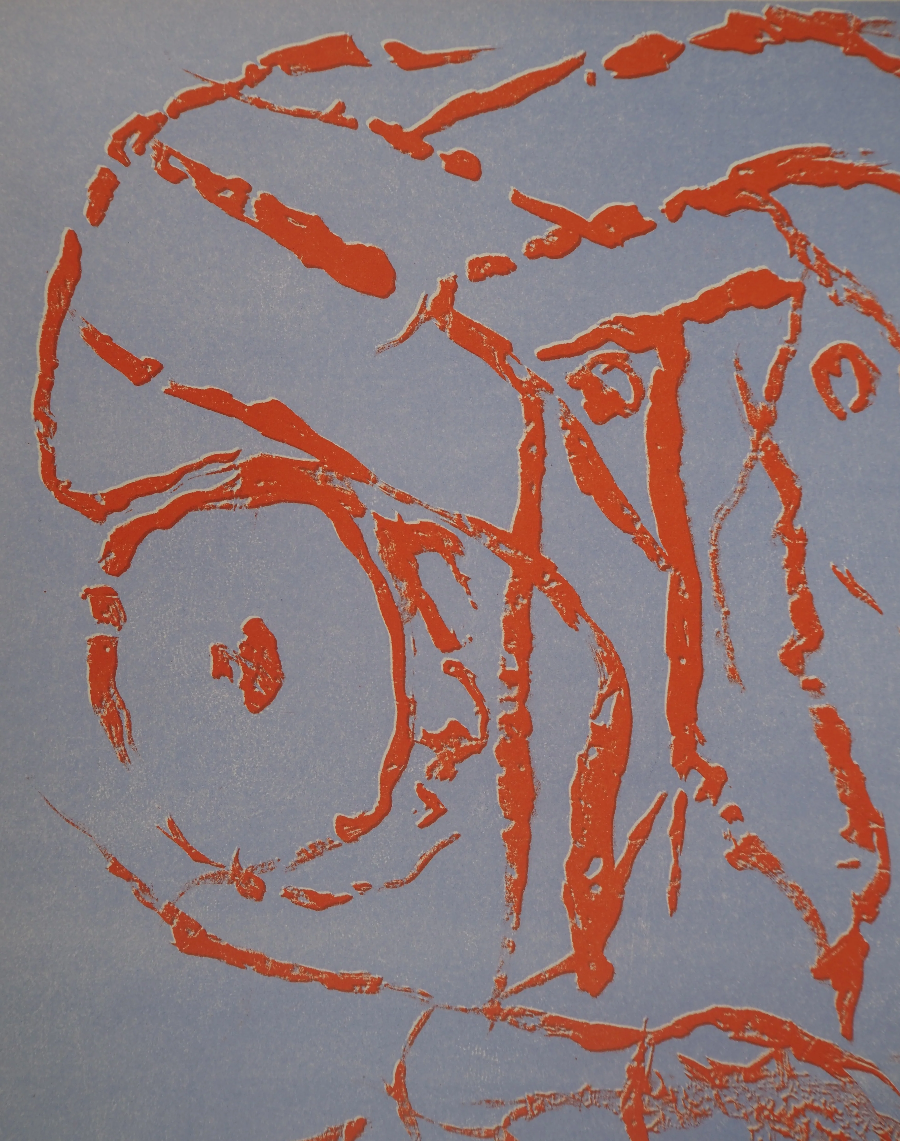 Pierre ALECHINSKY : Remarques, Lithographie originale - Image 5