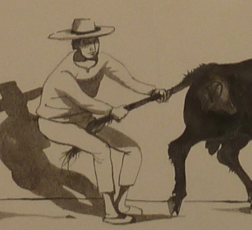 Pierre-Yves TREMOIS : Dans l'arène, Dessin original - Image 4