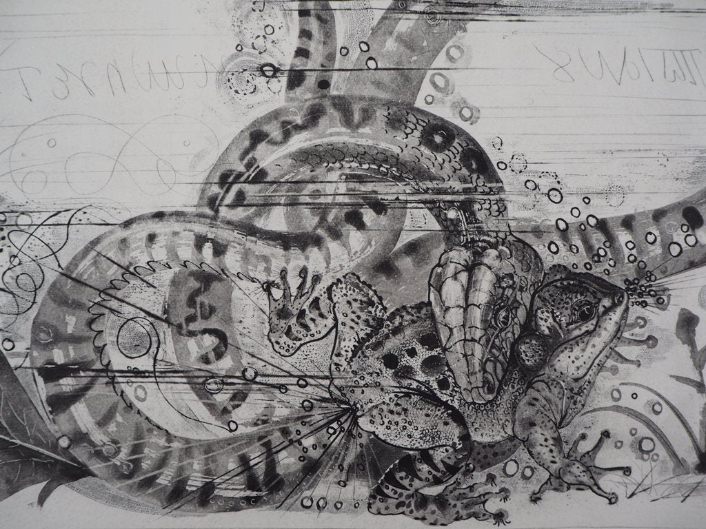 Pierre-Yves TREMOIS : Serpent et Crapaud, Gravure originale signée - Image 4