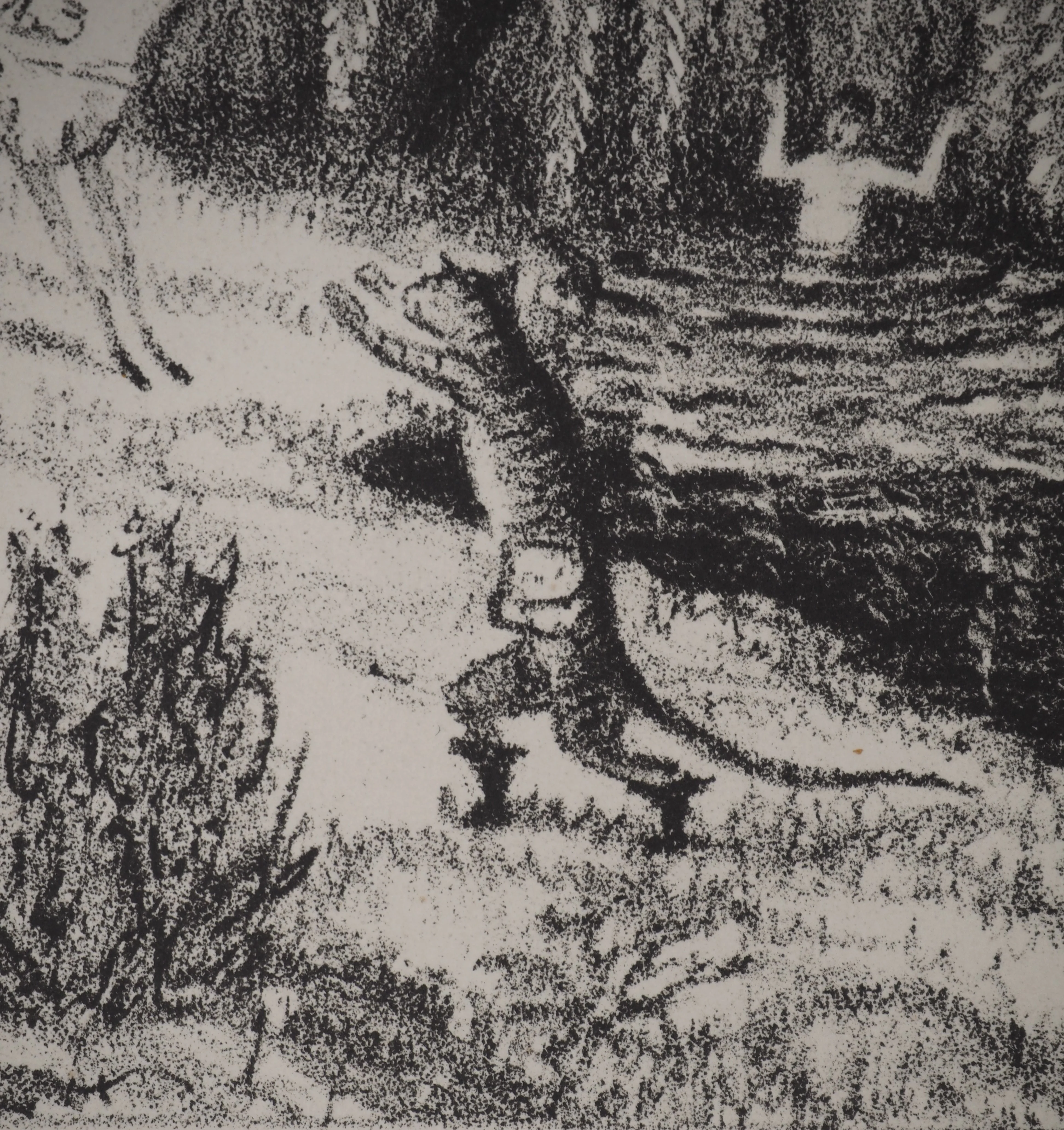 Raphaël DROUART : Le chat botté devant les troupes, Lithographie originale - Image 3
