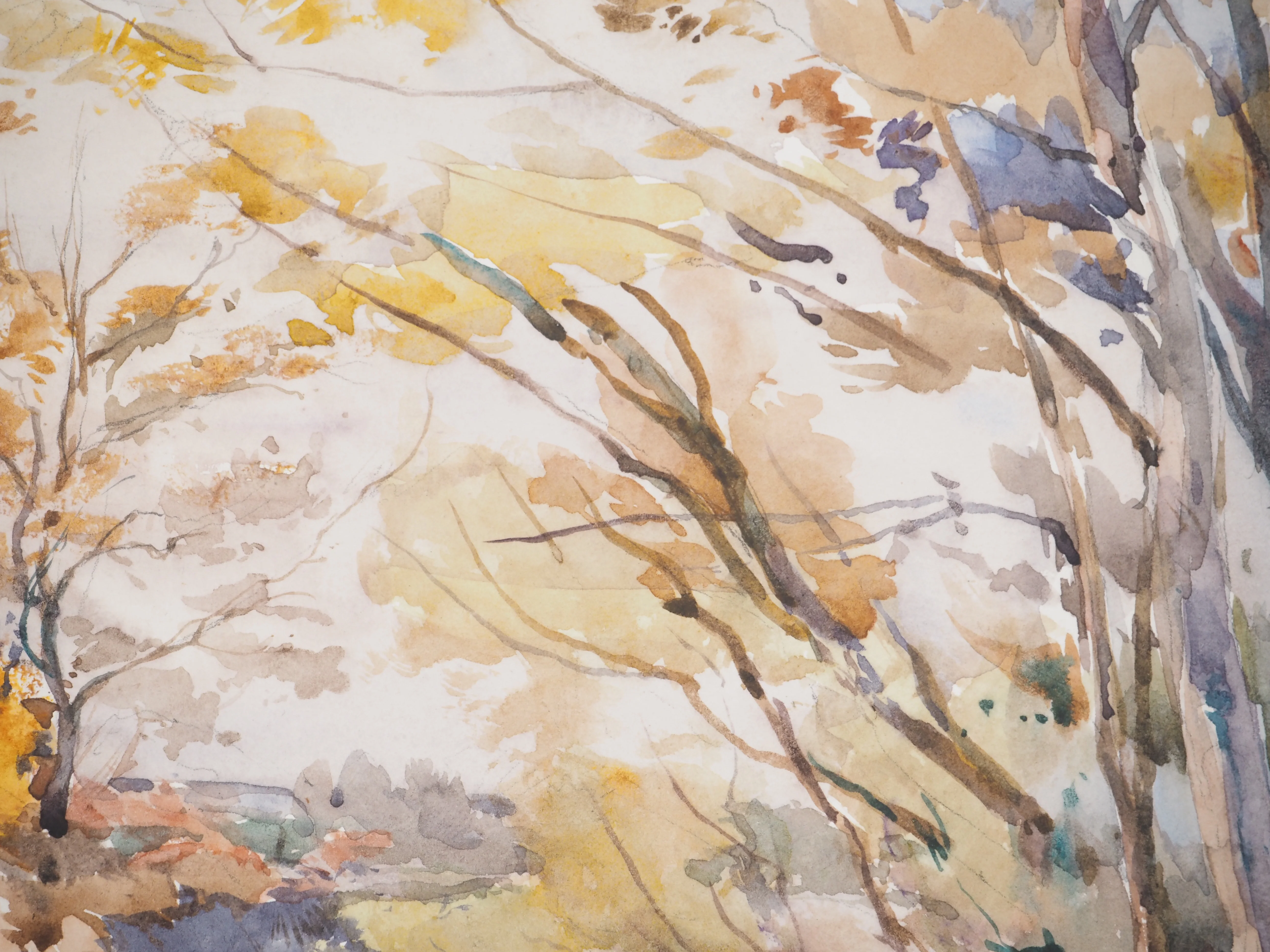 René LEVERD : Les arbres colorés, Aquarelle originale signée - Image 3