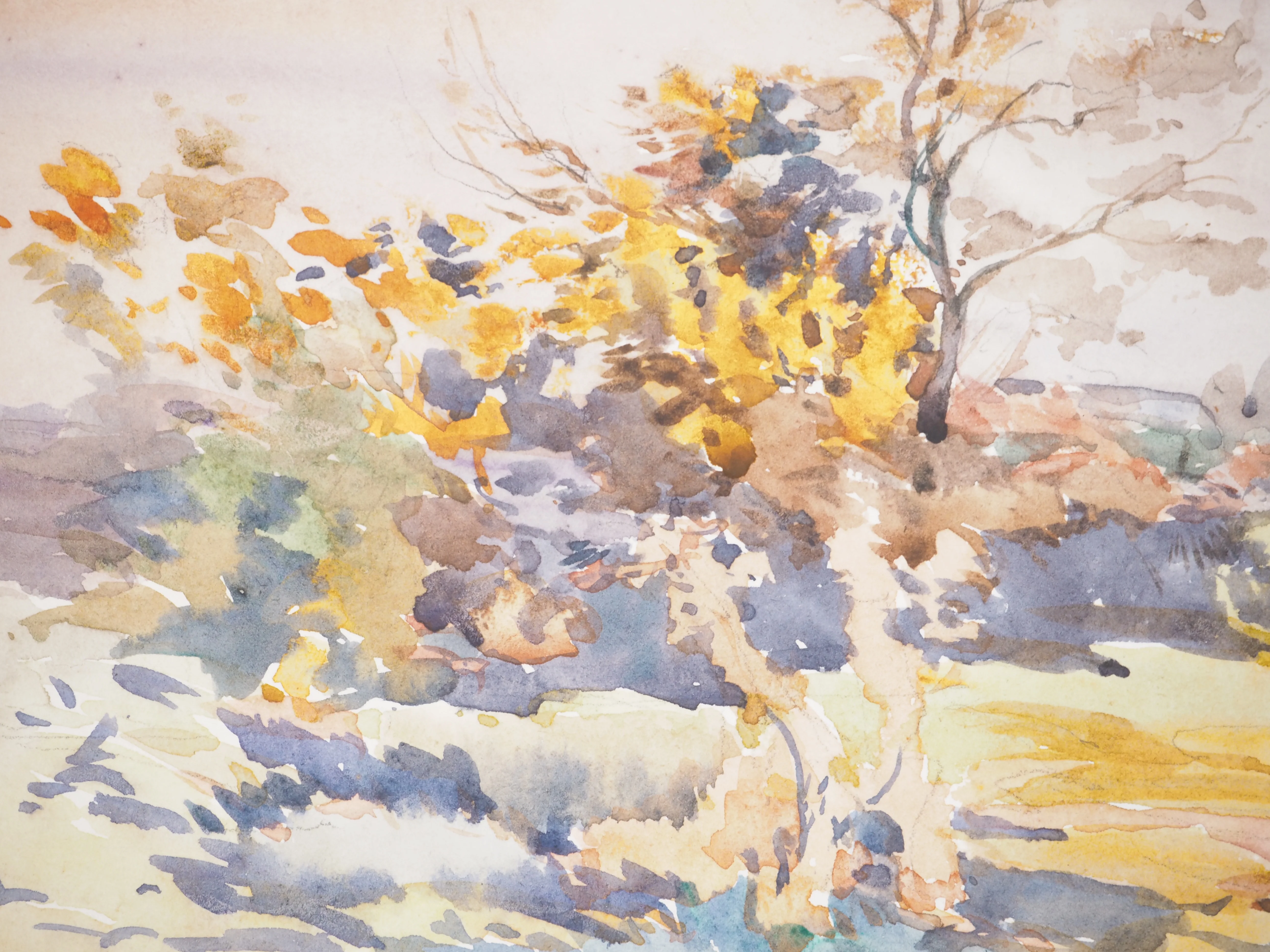 René LEVERD : Les arbres colorés, Aquarelle originale signée - Image 4