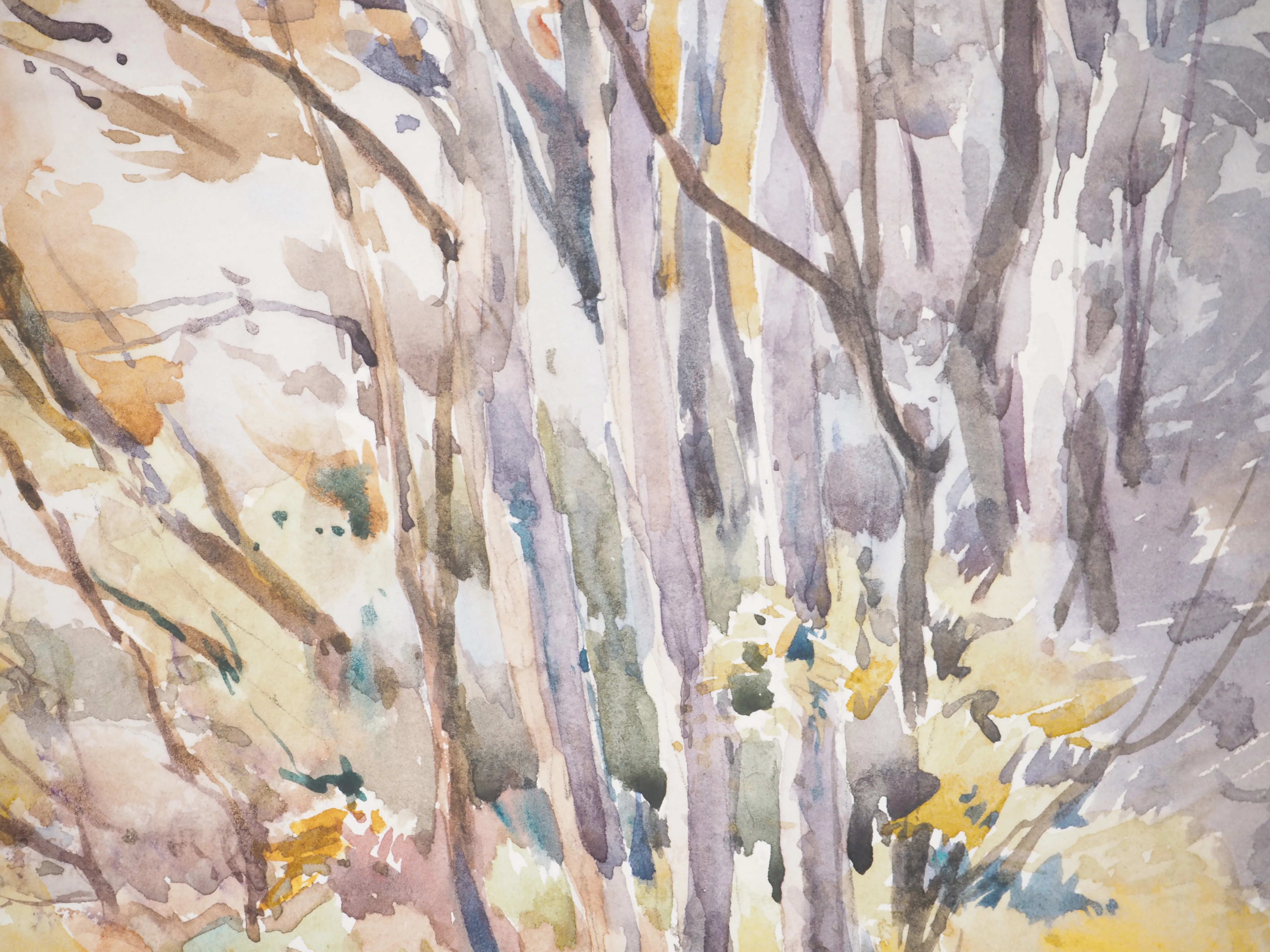René LEVERD : Les arbres colorés, Aquarelle originale signée - Image 5