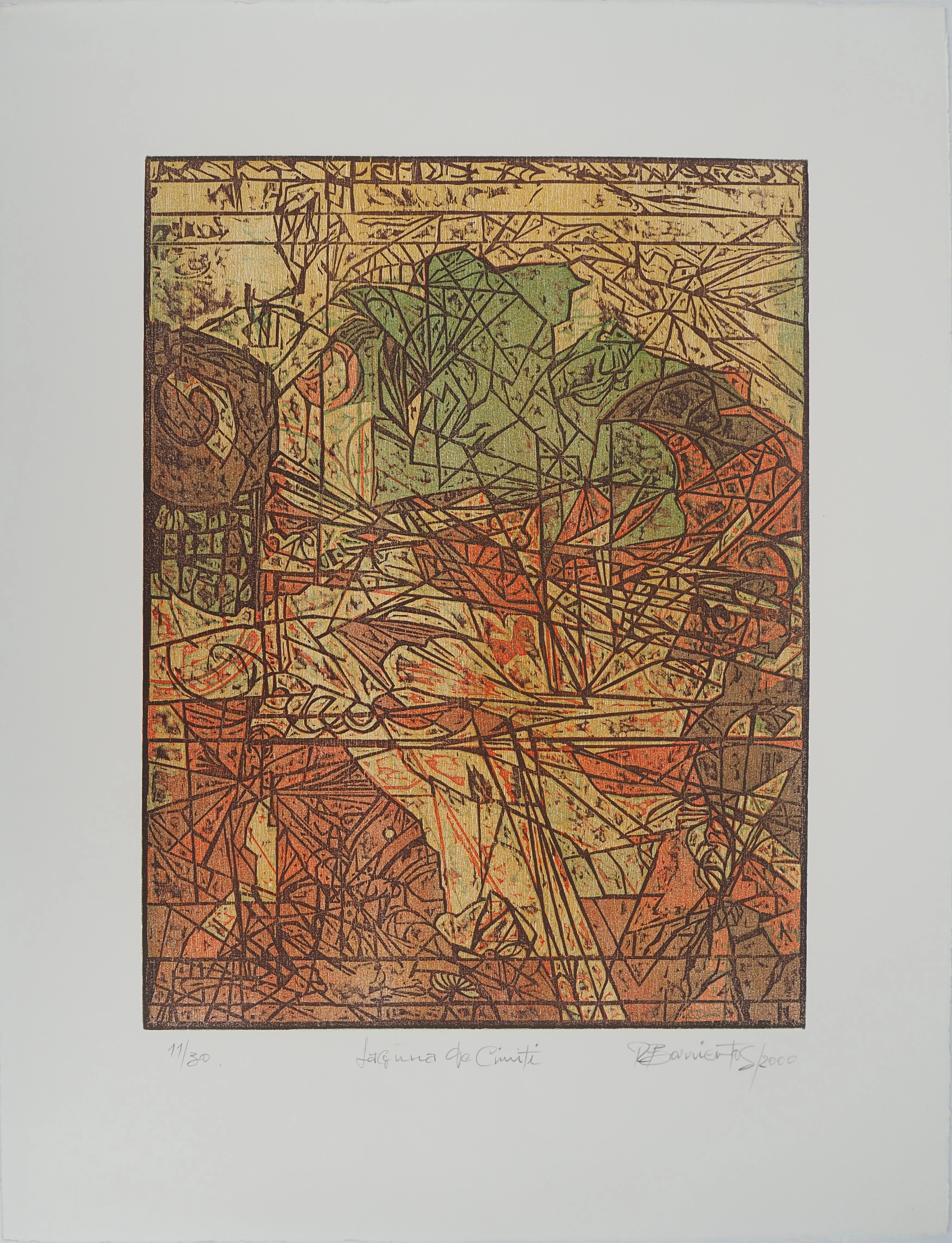 Rodrigo BARRIENTOS : Laguna de Cimiti, 2000, Gravure sur bois originale signée
