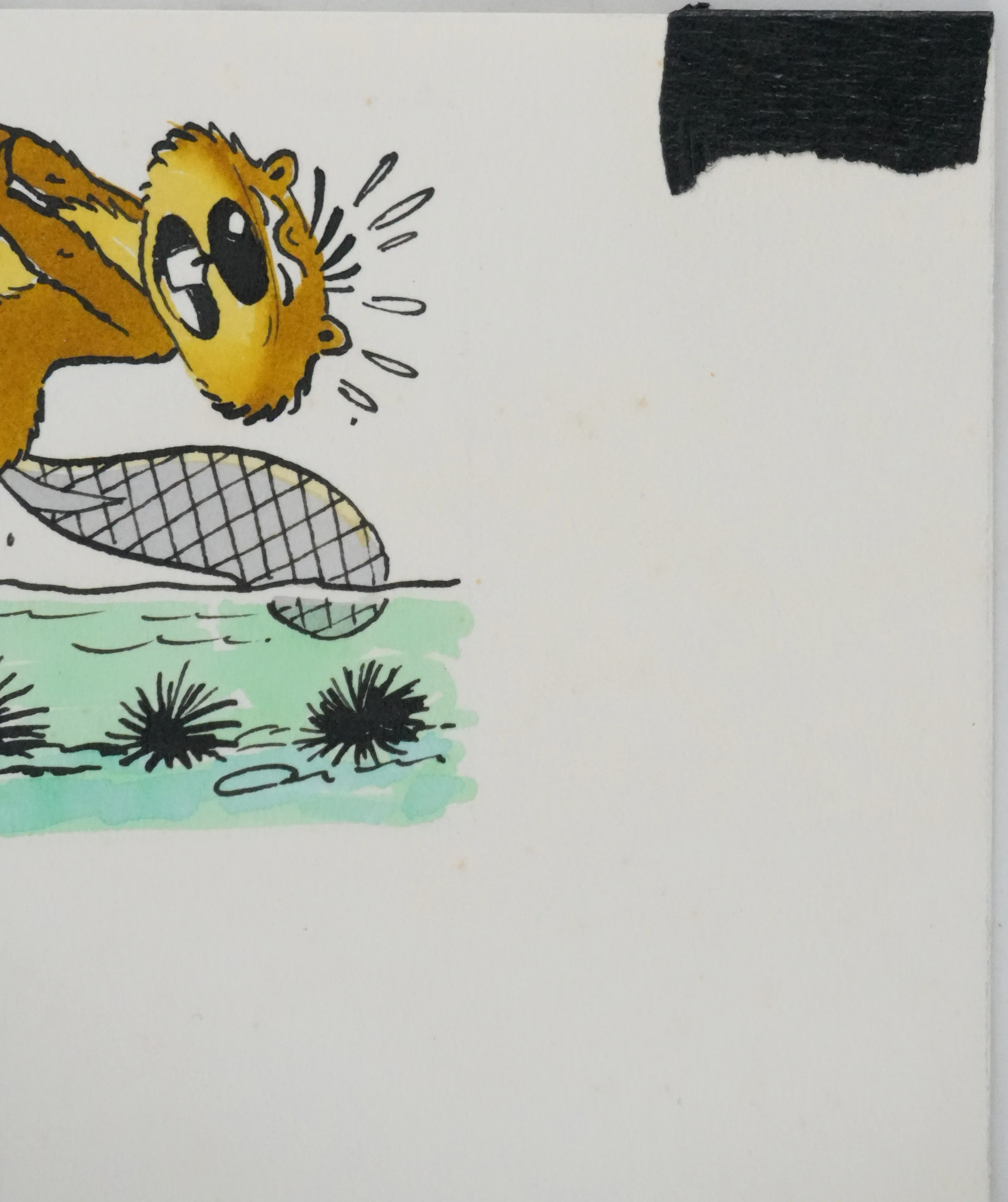 Roger BUSSEMEY : Les castors et la nature, Aquarelle originale - Image 5