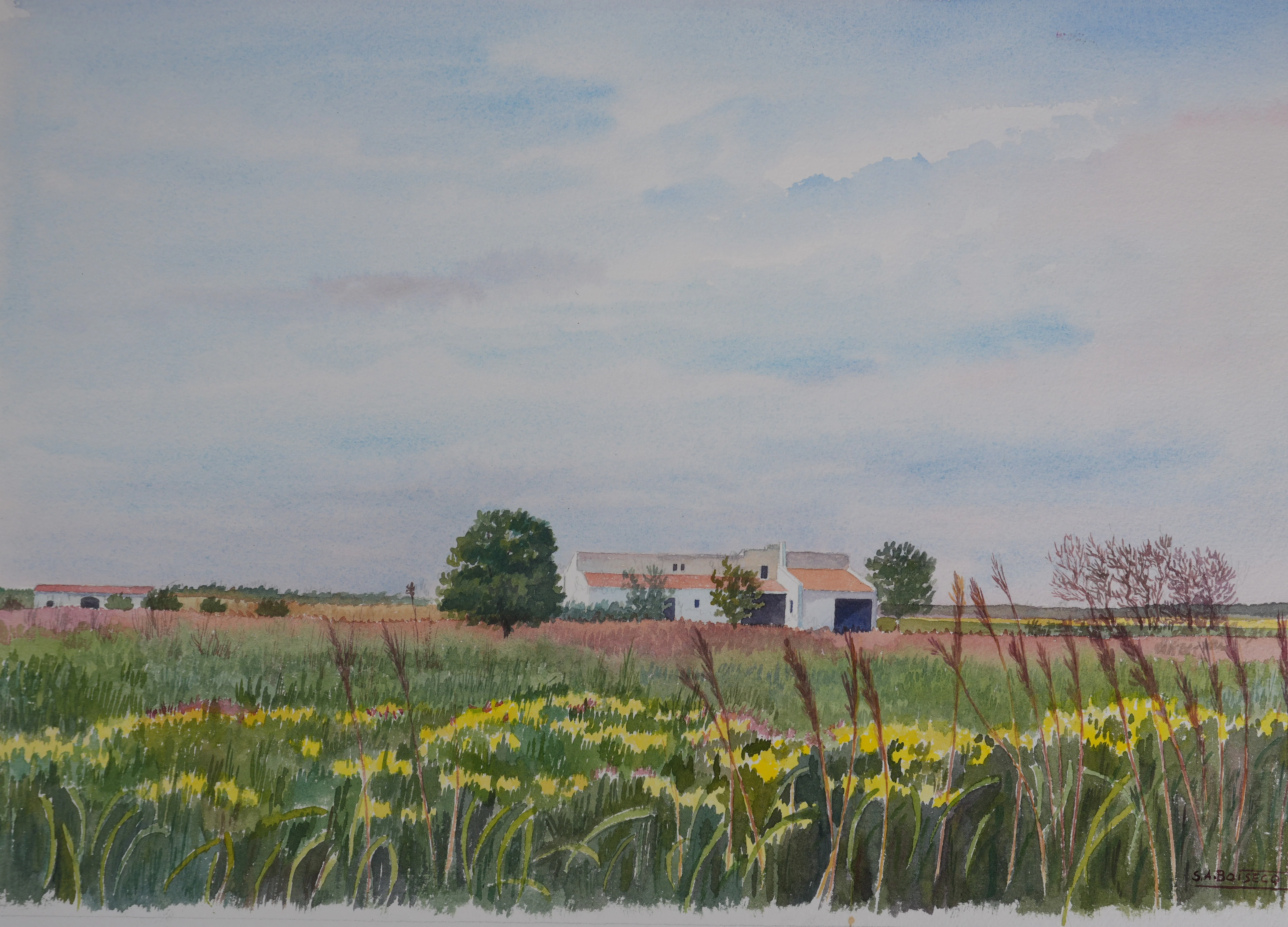 Salomon Alfred BOISECQ : Bergerie en Provence, Aquarelle originale signée - Image 2