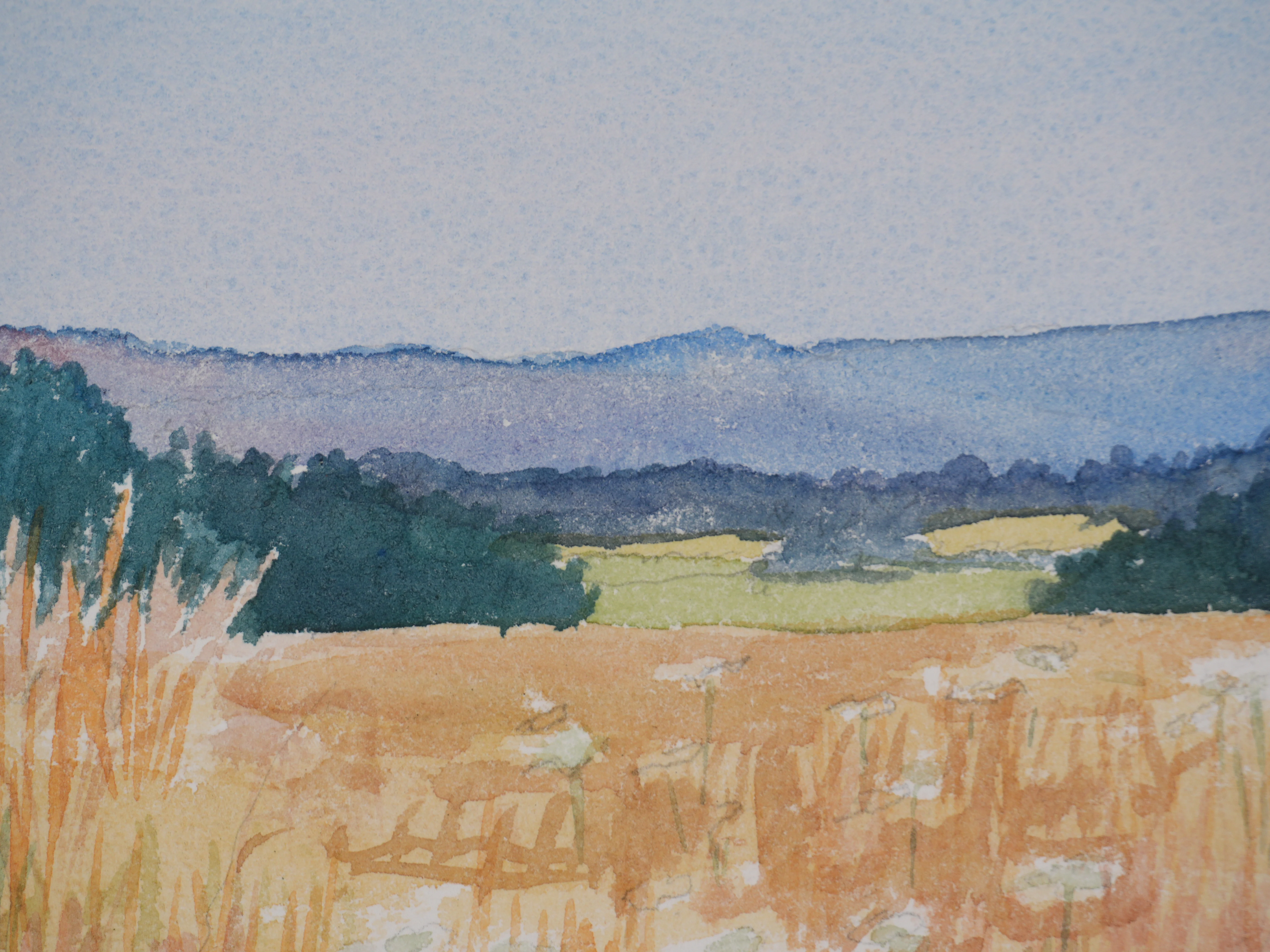 Salomon Alfred BOISECQ : Champs fleuris de Fayence, Aquarelle originale signée - Image 5