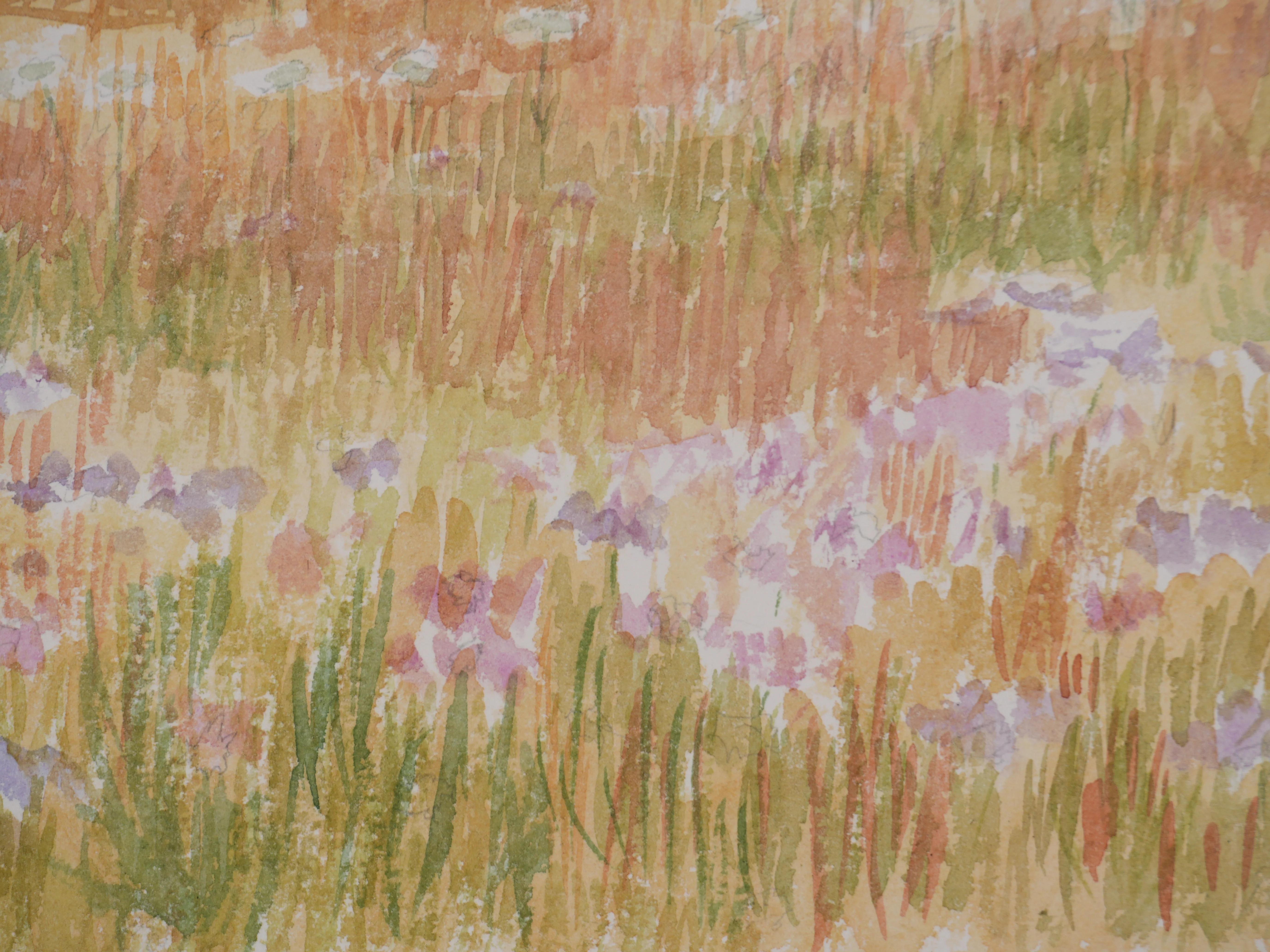 Salomon Alfred BOISECQ : Champs fleuris de Fayence, Aquarelle originale signée - Image 6