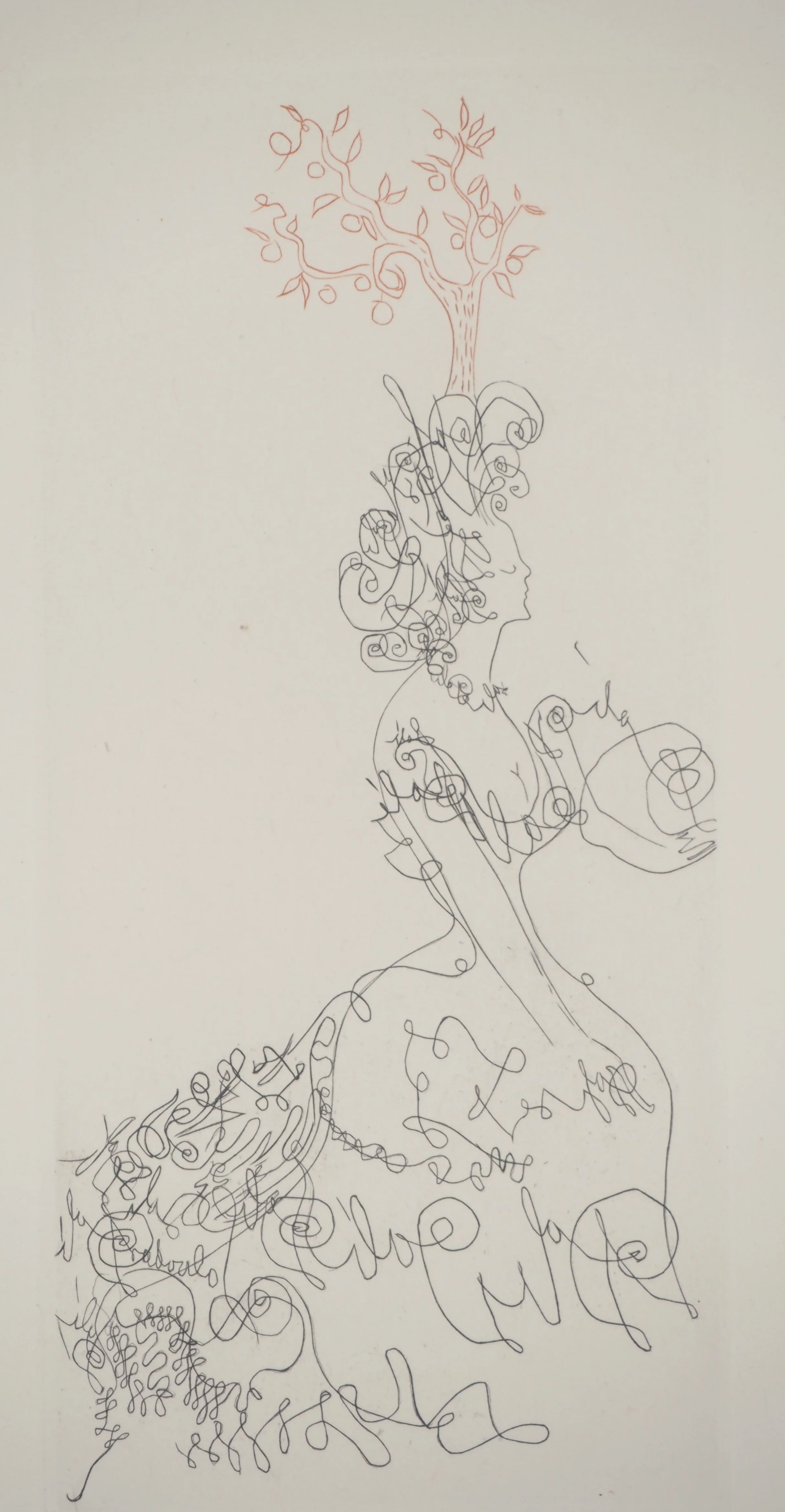 Salvador DALI : La dame de l'orangerie, Gravure originale signée - Image 3