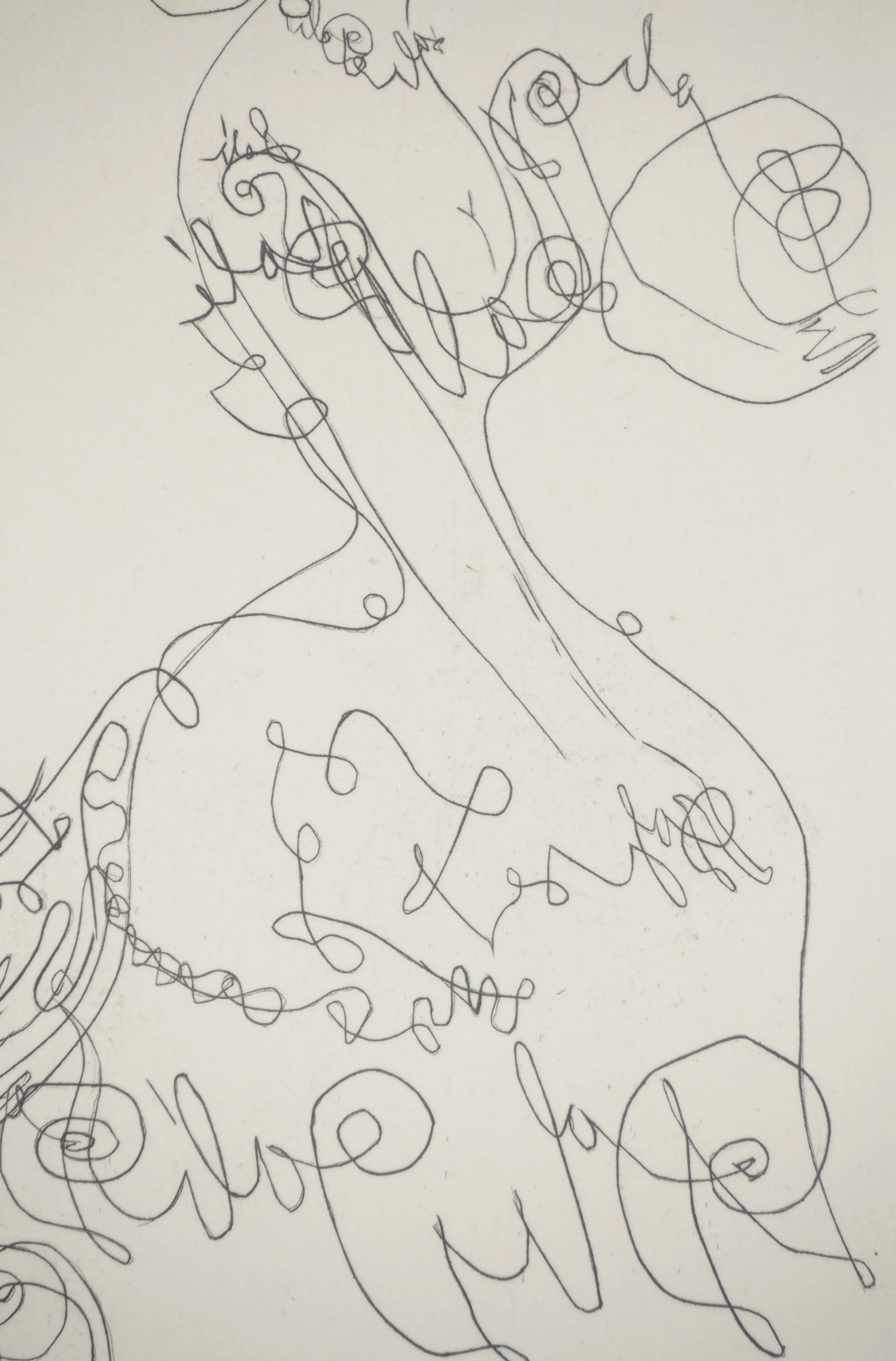 Salvador DALI : La dame de l'orangerie, Gravure originale signée - Image 5
