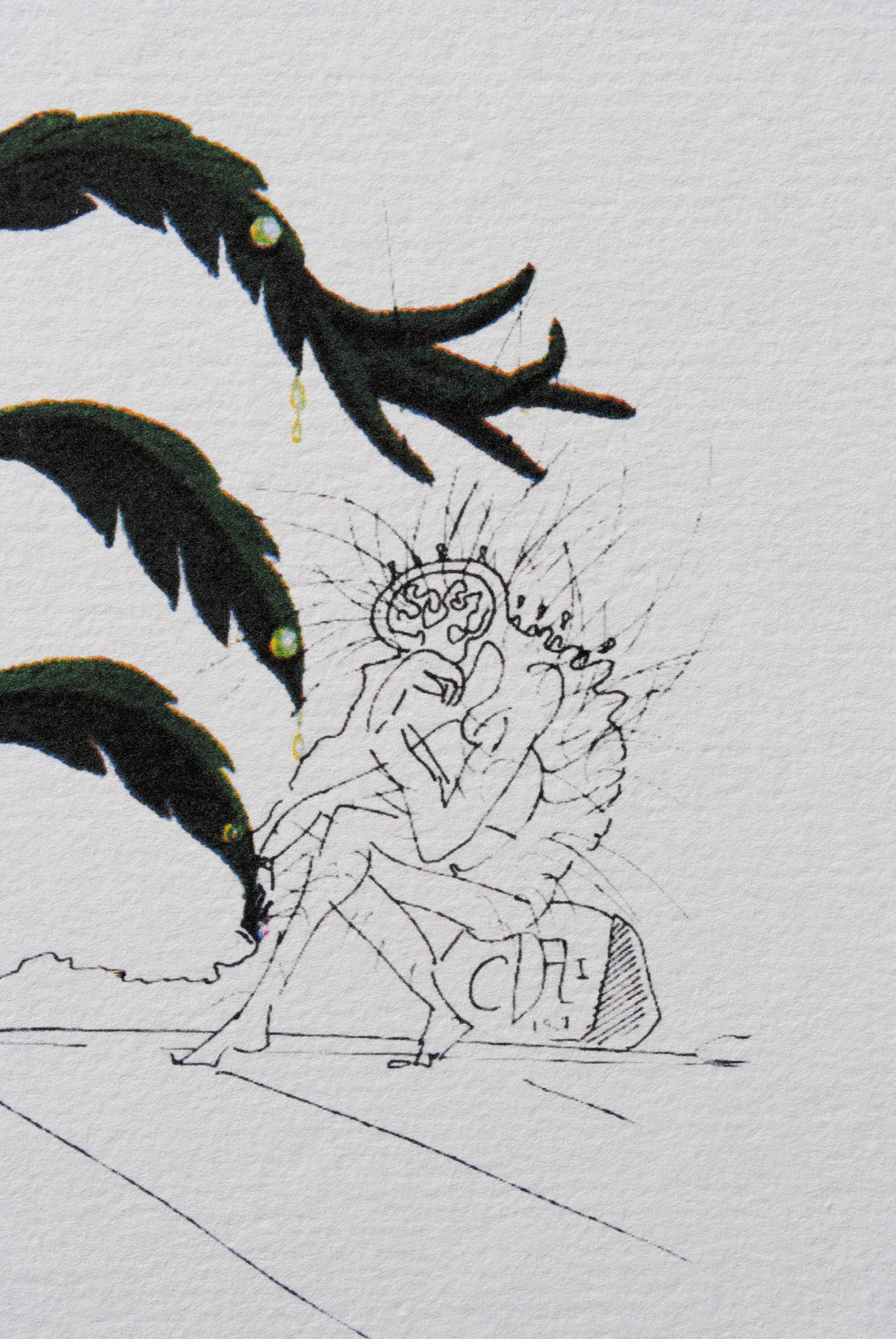 Salvador DALI : La pensée, Lithographie signée, 1979 - Image 3