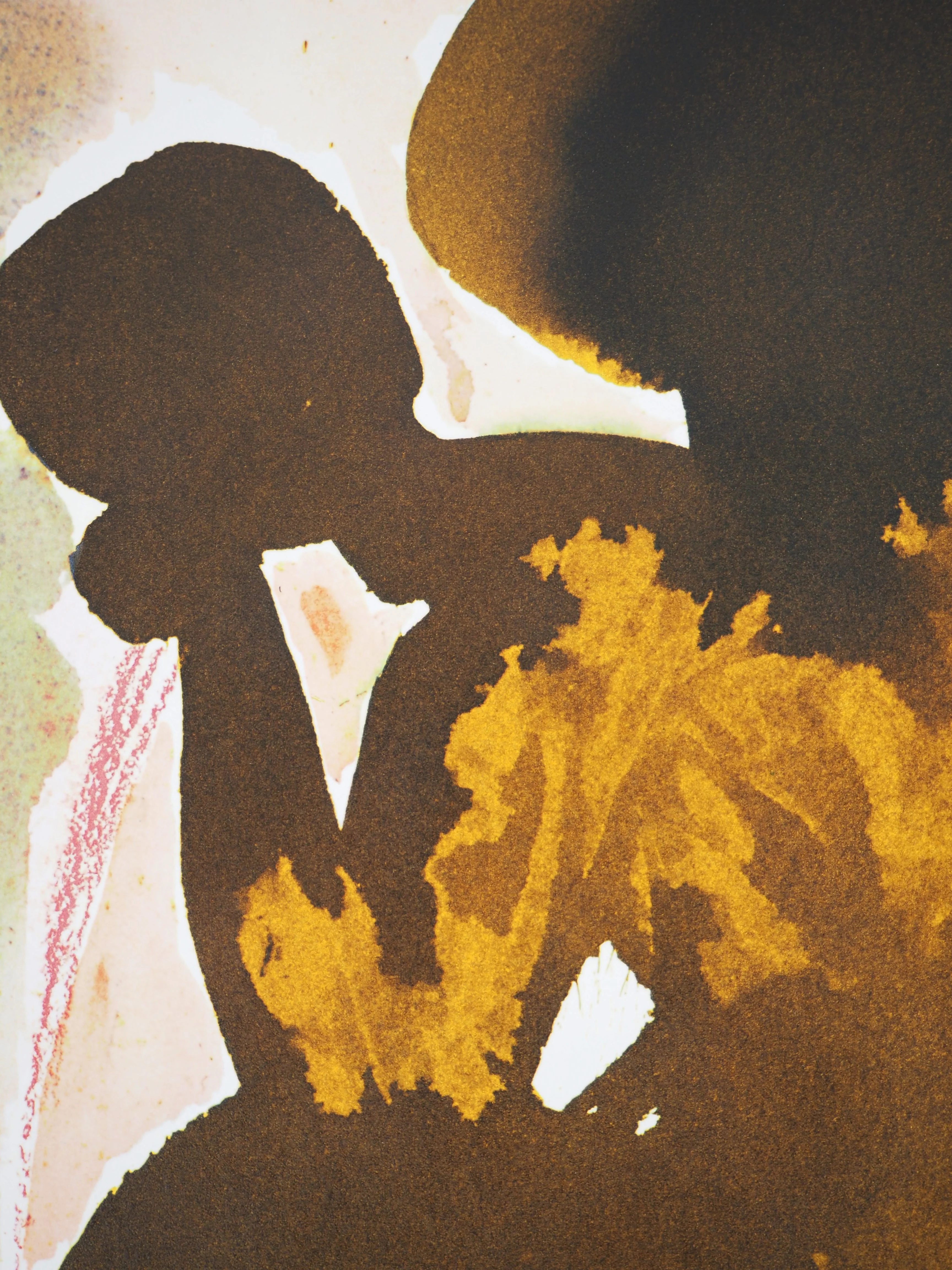 Salvador DALI : L’Ange Noir, Lithographie signée - Image 5