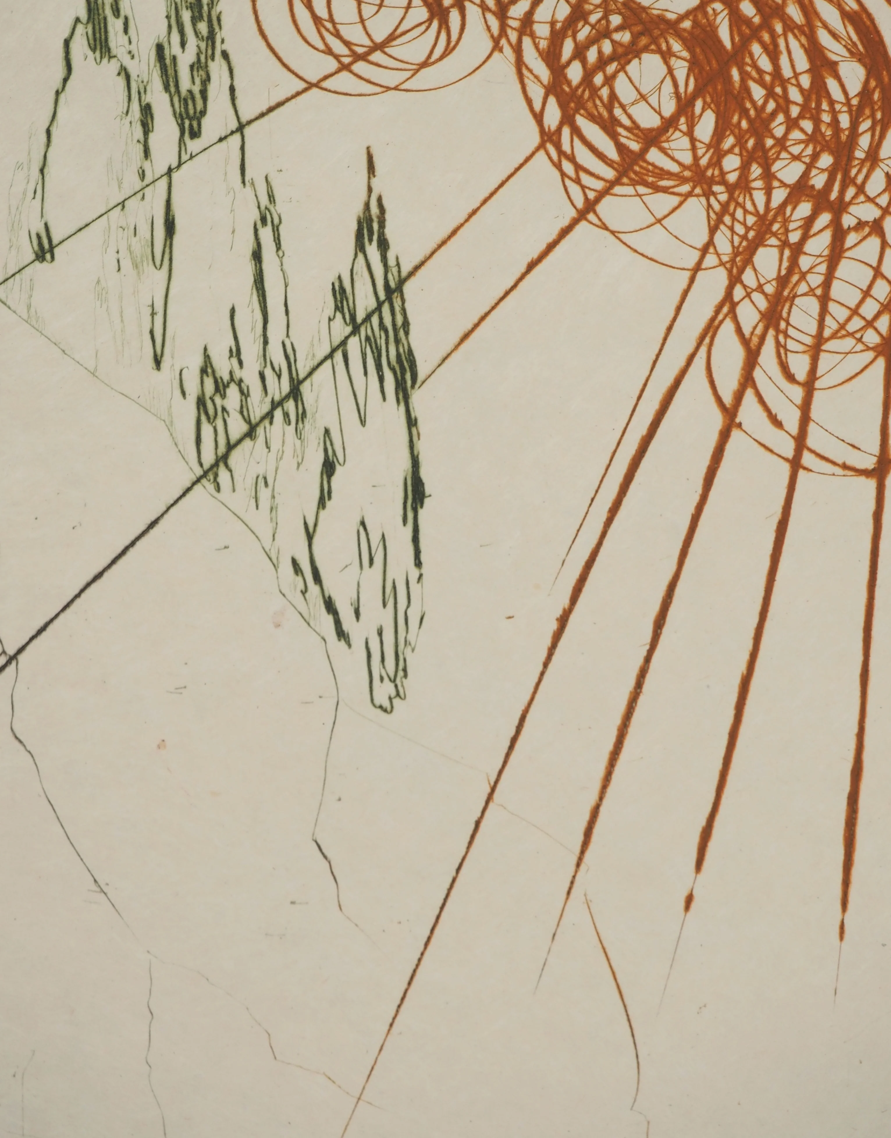 Salvador DALI : Le combat avec le Morhoult, Gravure originale signée - Image 4