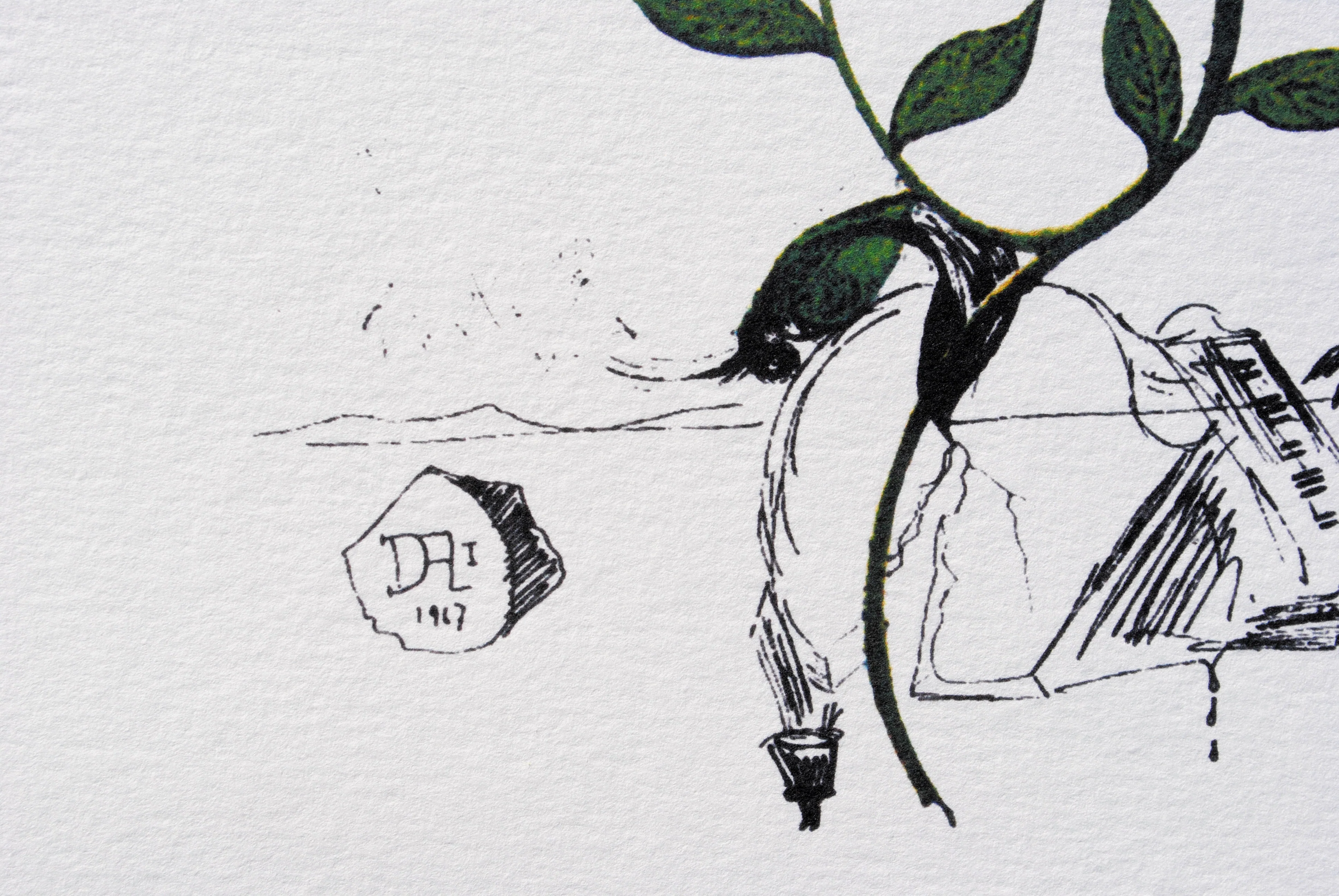 Salvador DALI : Le Lys musical, Lithographie signée, 1979 - Image 3