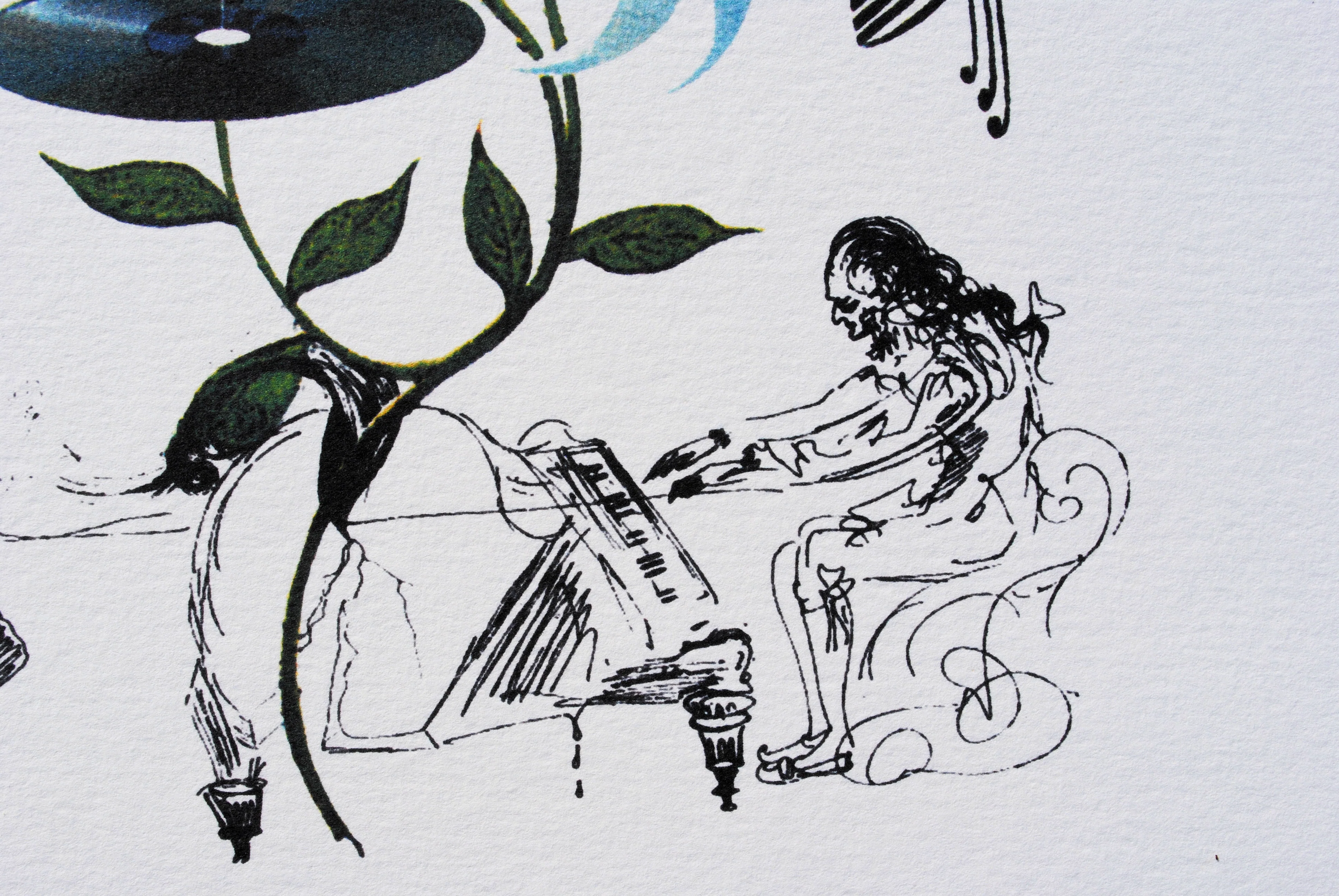 Salvador DALI : Le Lys musical, Lithographie signée, 1979 - Image 4
