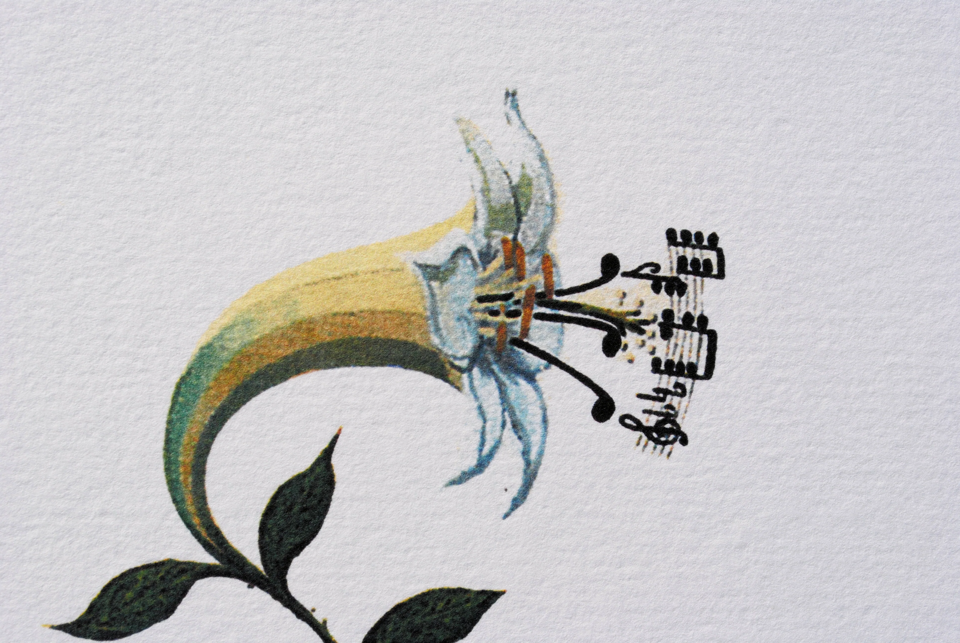 Salvador DALI : Le Lys musical, Lithographie signée, 1979 - Image 7