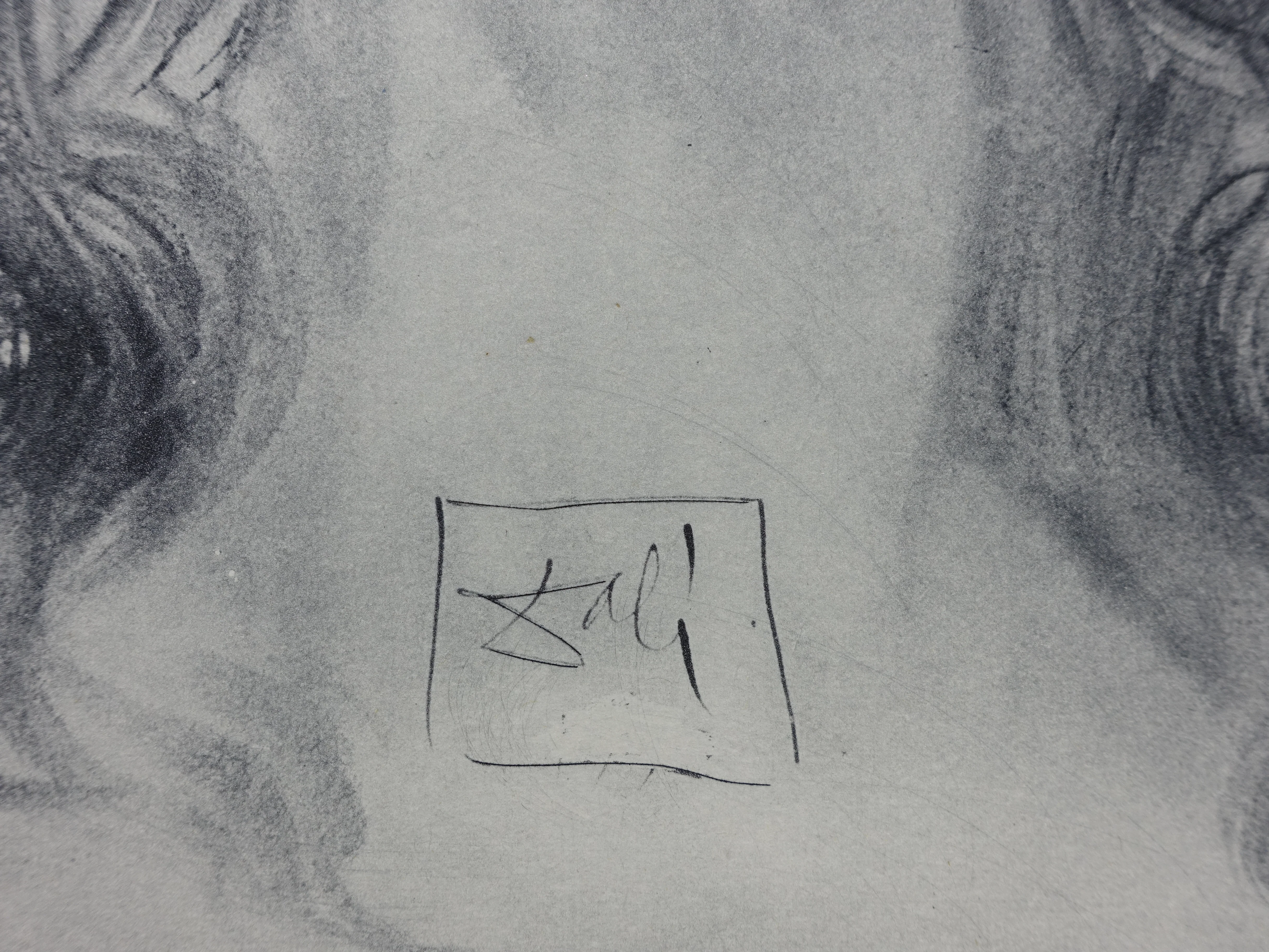 Salvador DALI : Le visage de Virgile, Gravure signée - Image 3