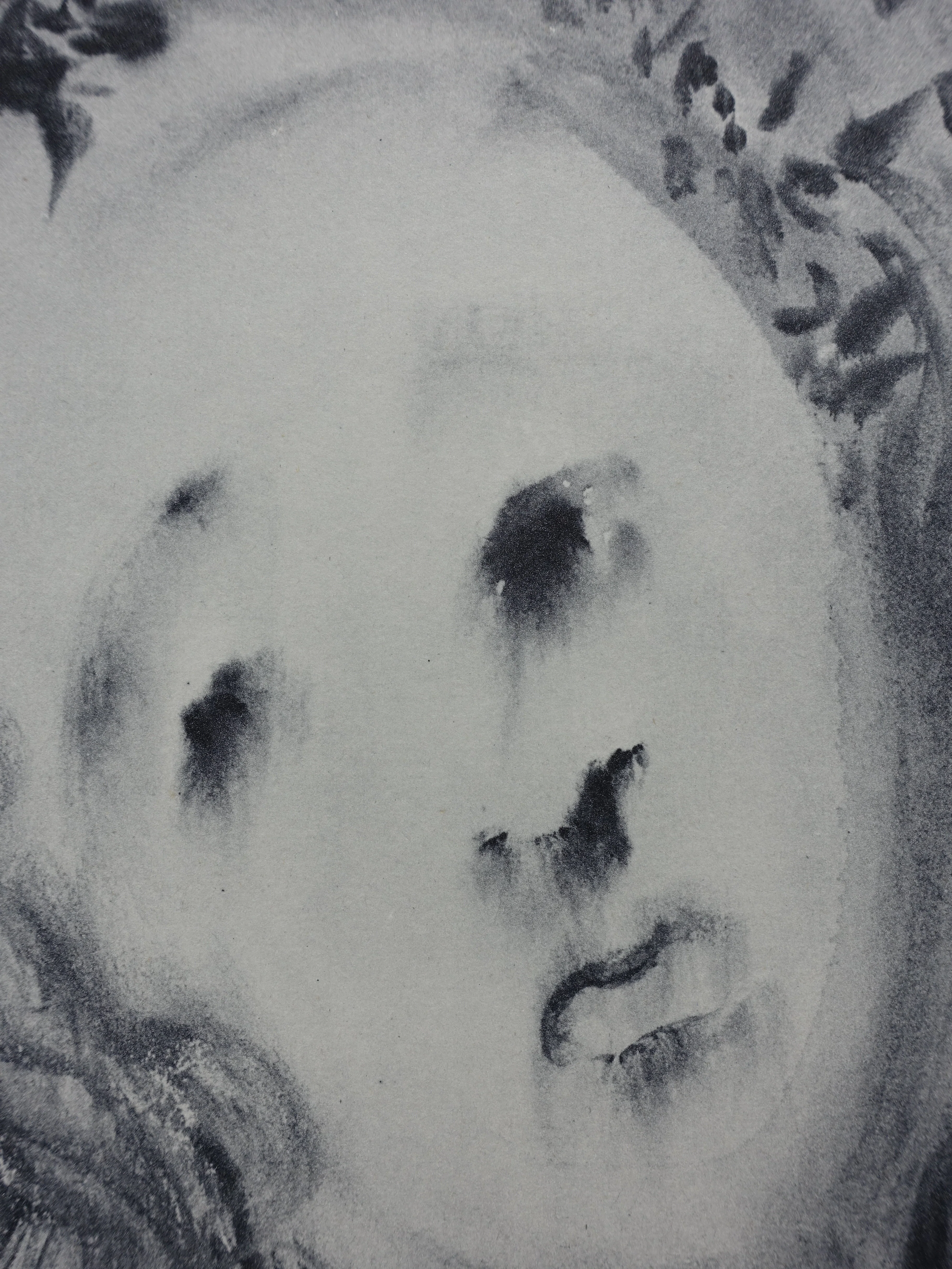 Salvador DALI : Le visage de Virgile, Gravure signée - Image 4