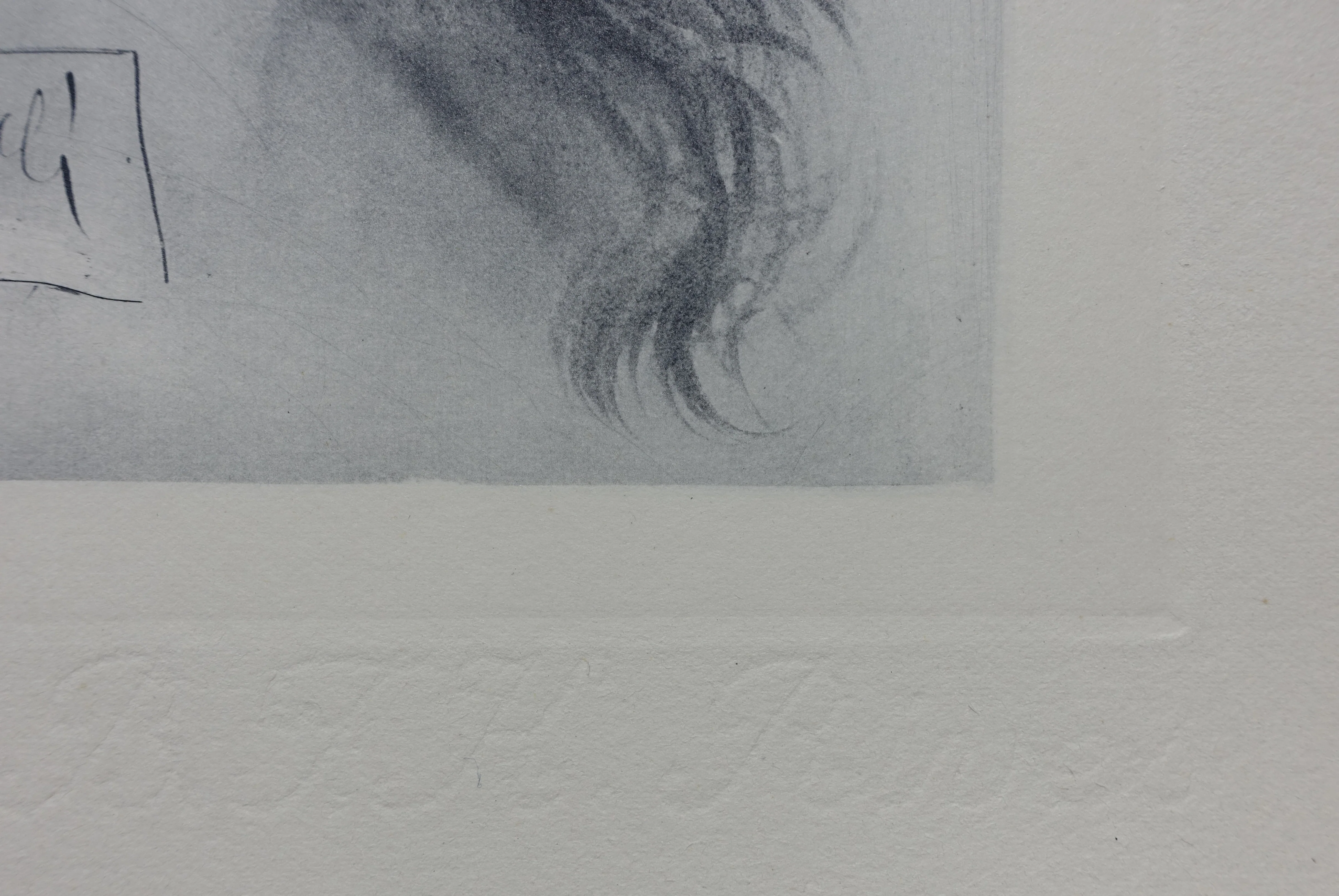 Salvador DALI : Le visage de Virgile, Gravure signée - Image 5
