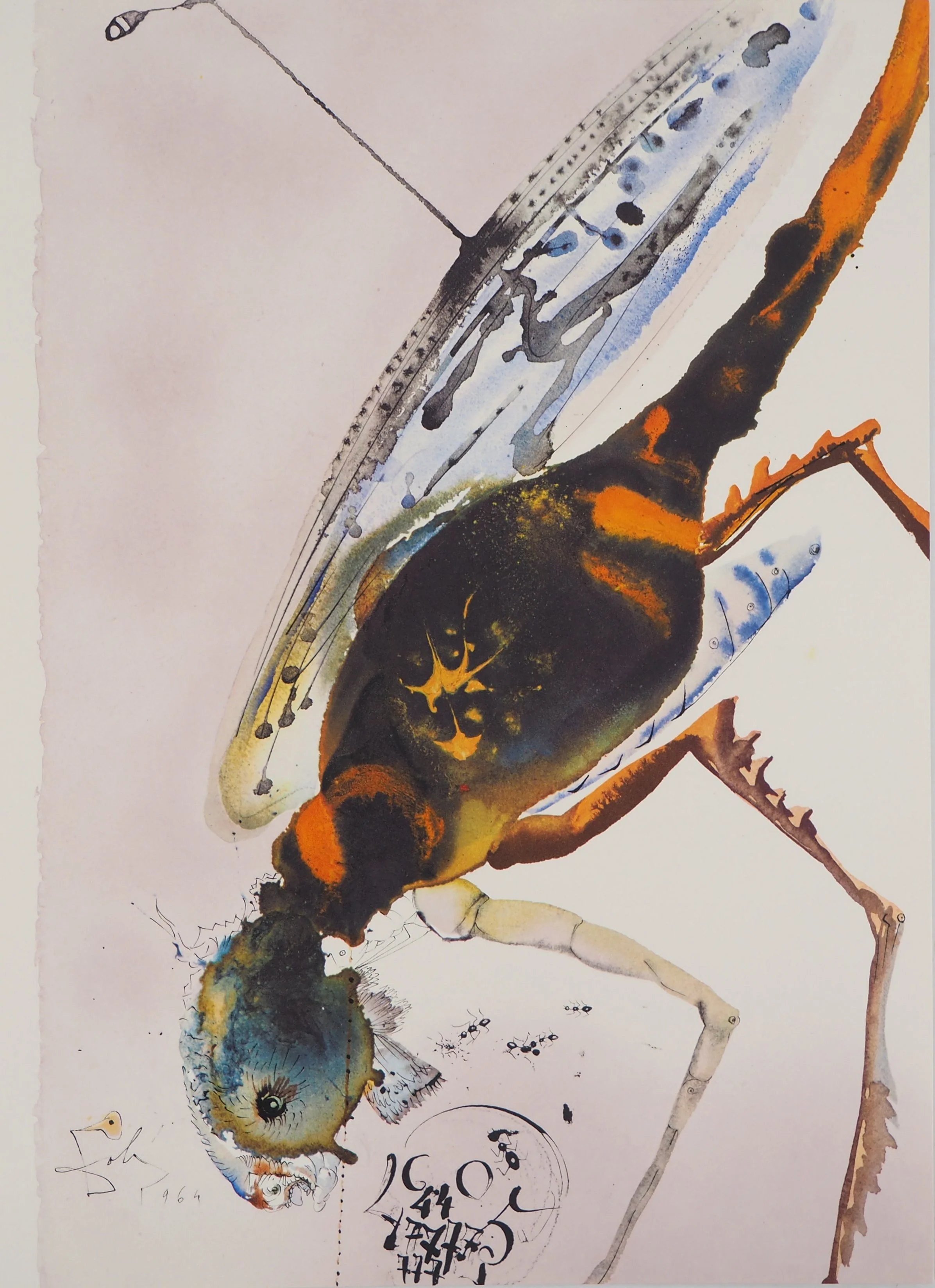 Salvador DALI : Les sauterelles, Lithographie signée
