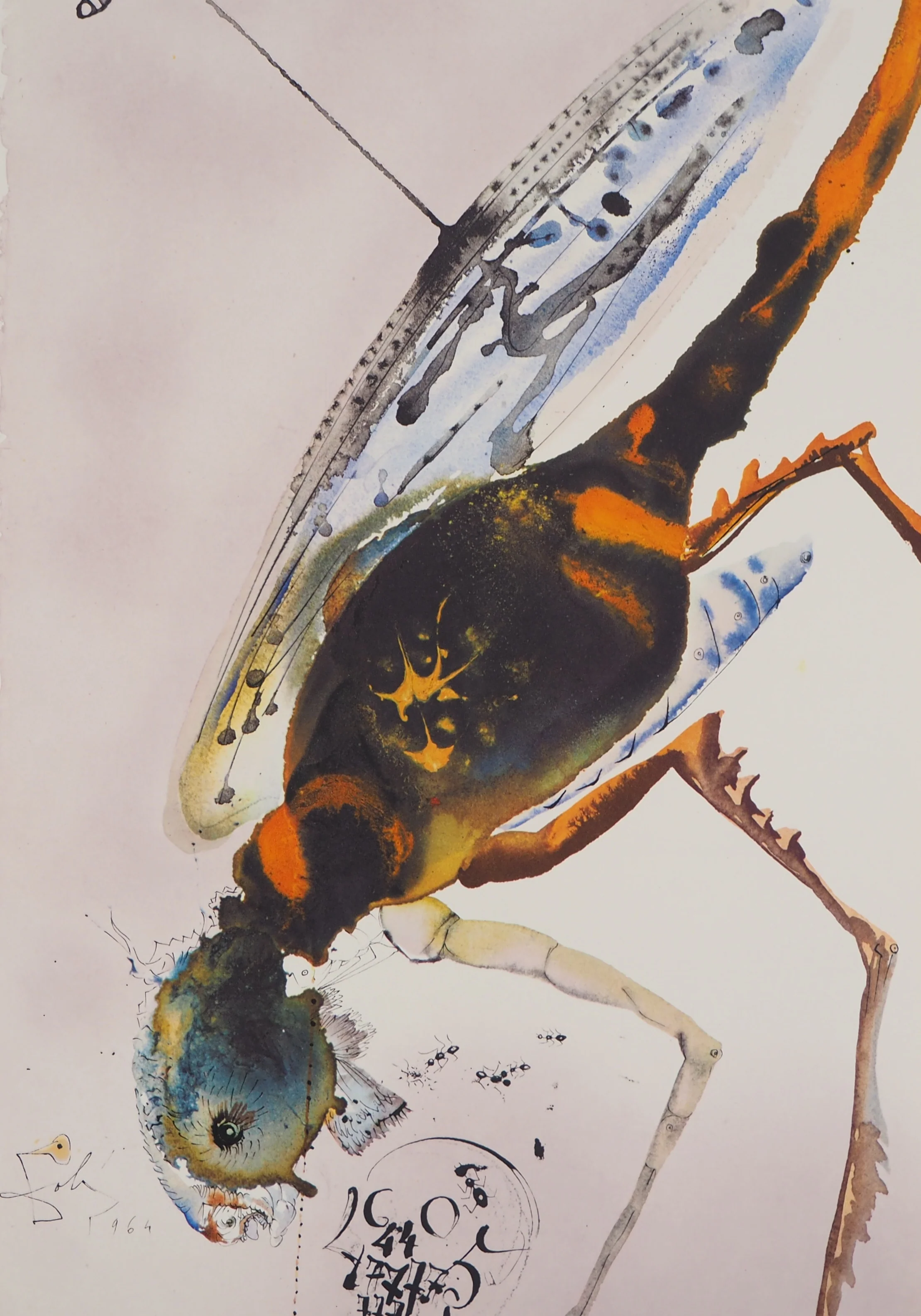 Salvador DALI : Les sauterelles, Lithographie signée - Image 3