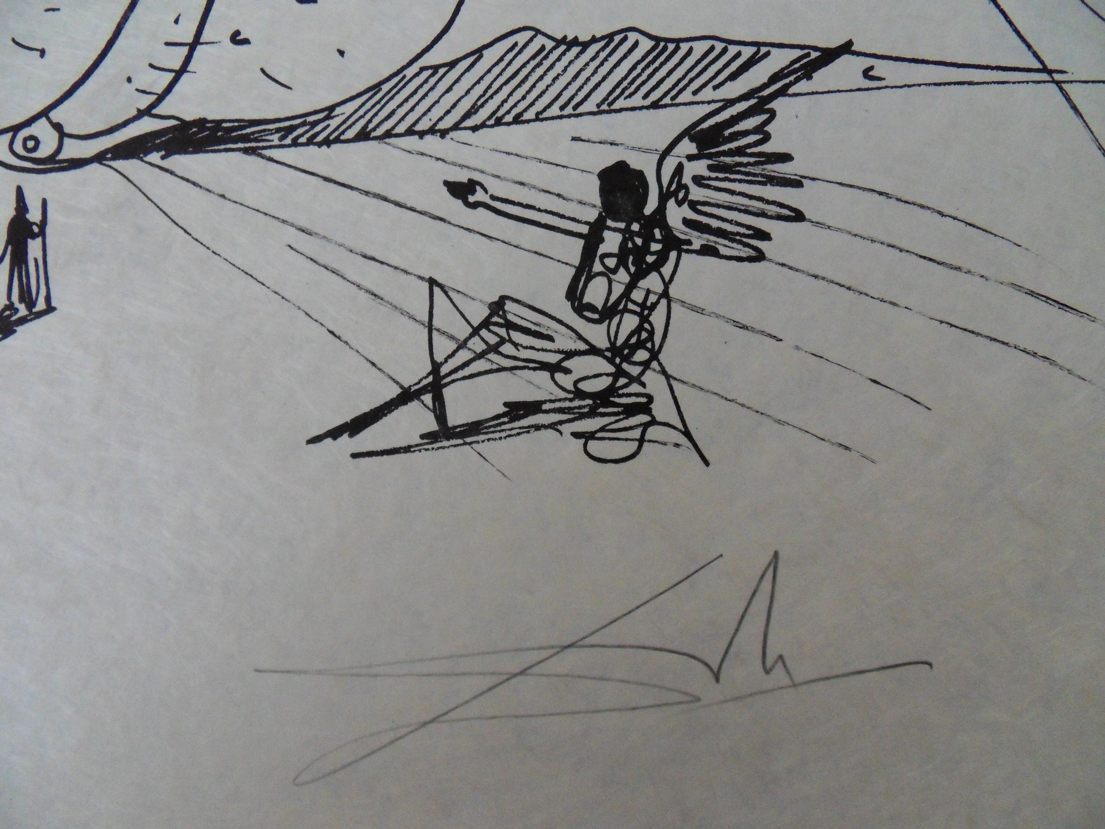 Salvador DALI : Pantagruel, Homme aux bandelettes et hibou (noir), Lithographie originale signée - Image 4