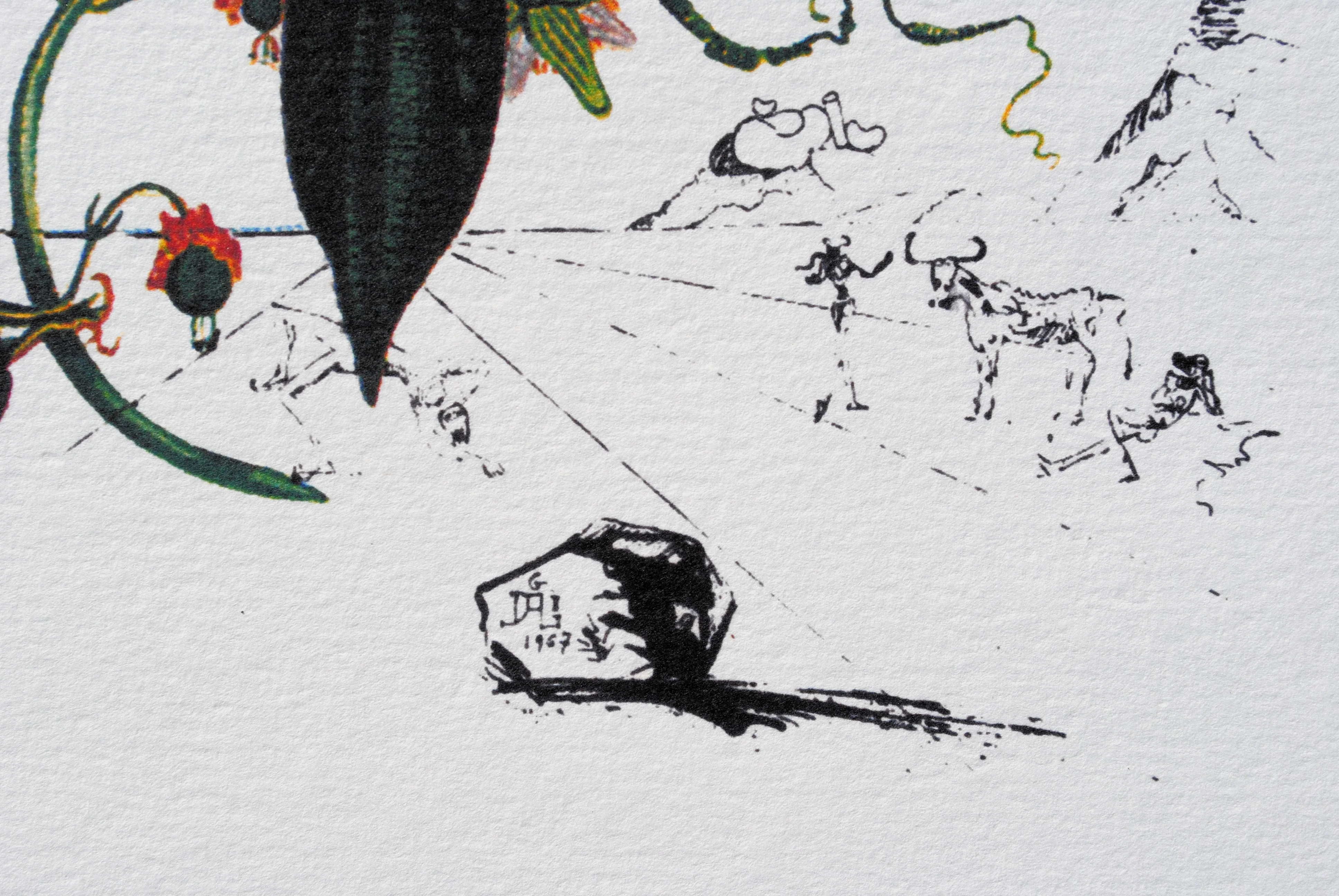 Salvador DALI : Passiflore, Lithographie signée, 1979 - Image 3