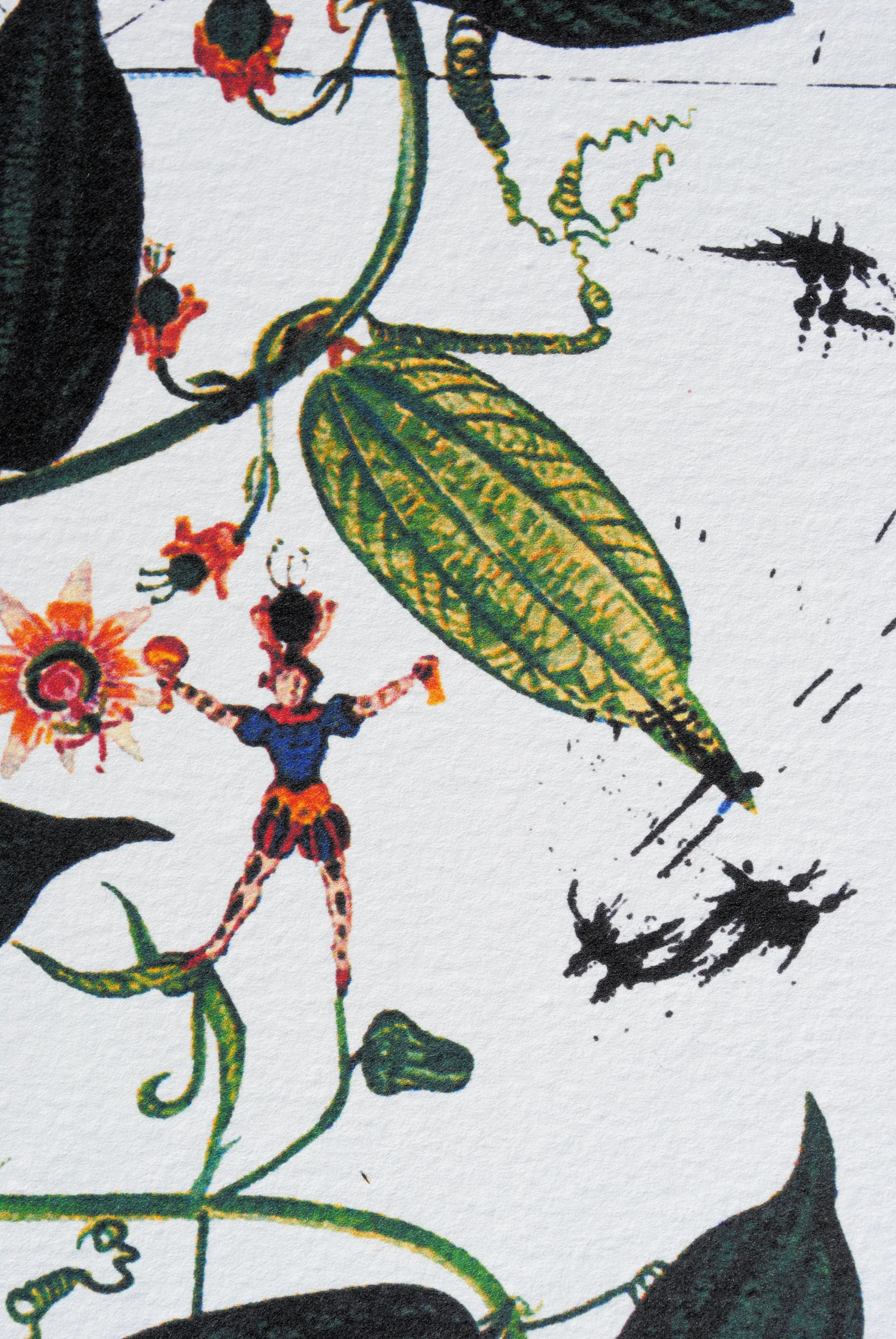 Salvador DALI : Passiflore, Lithographie signée, 1979 - Image 4