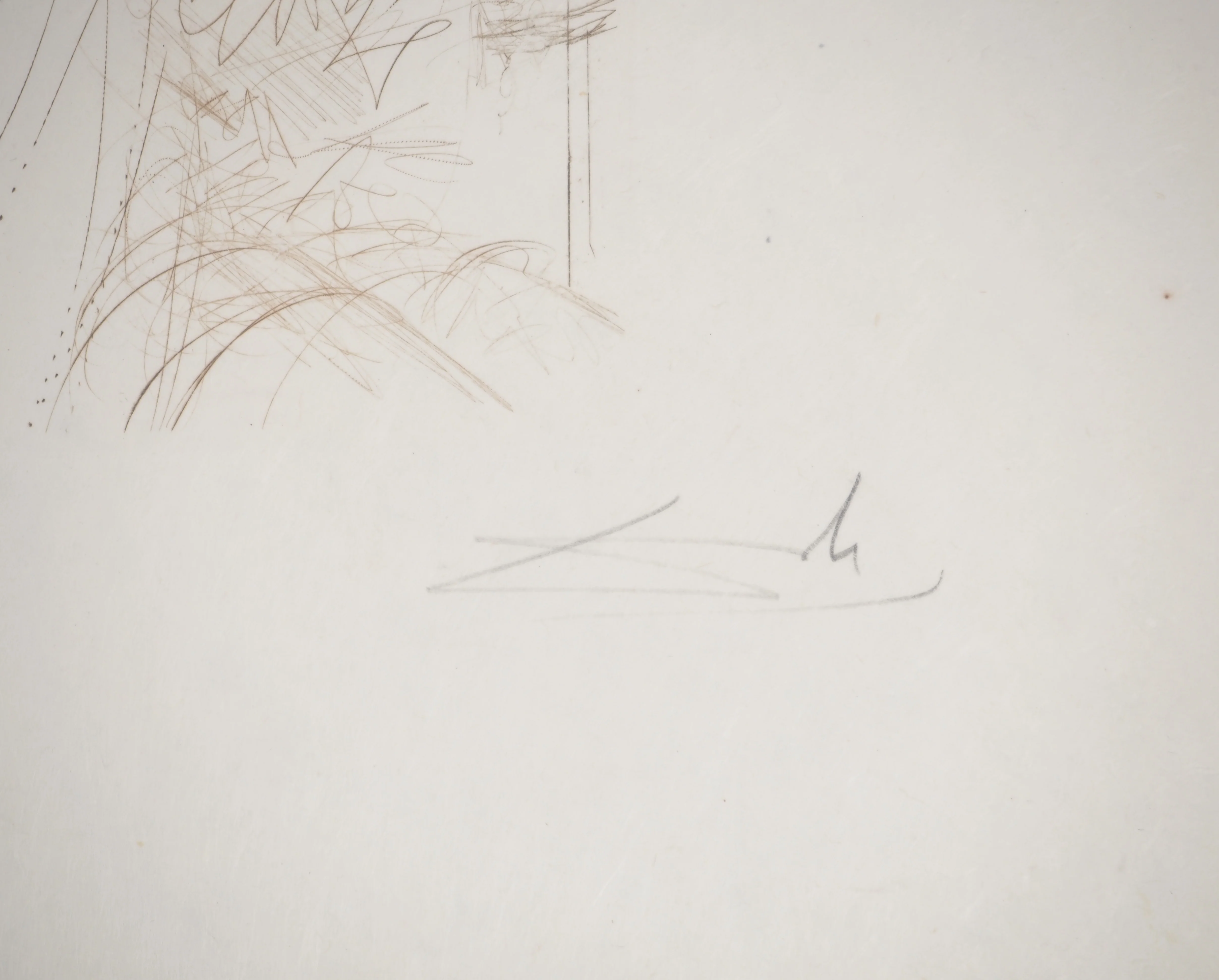Salvador DALI : Roi Lear, Gravure originale signée - Image 2