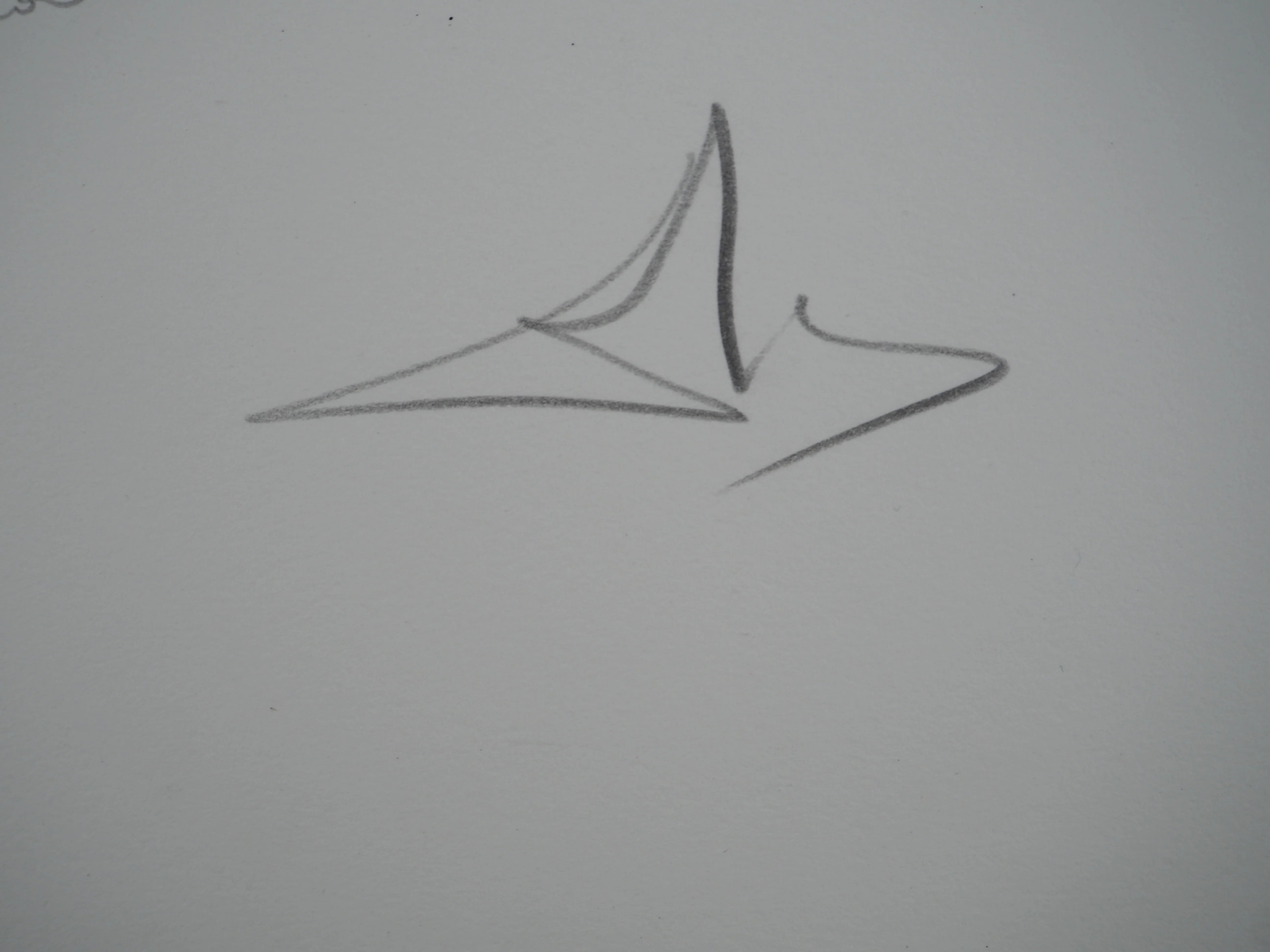 Salvador DALI : Sacrifice, Gravure originale signée - Image 3
