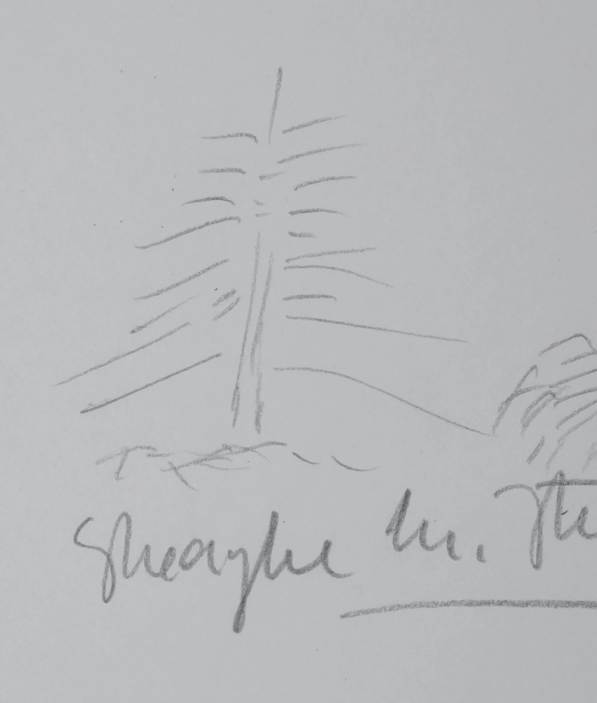 STURDZA : L'arbre princier, Autographe et dessin original signé - Image 3