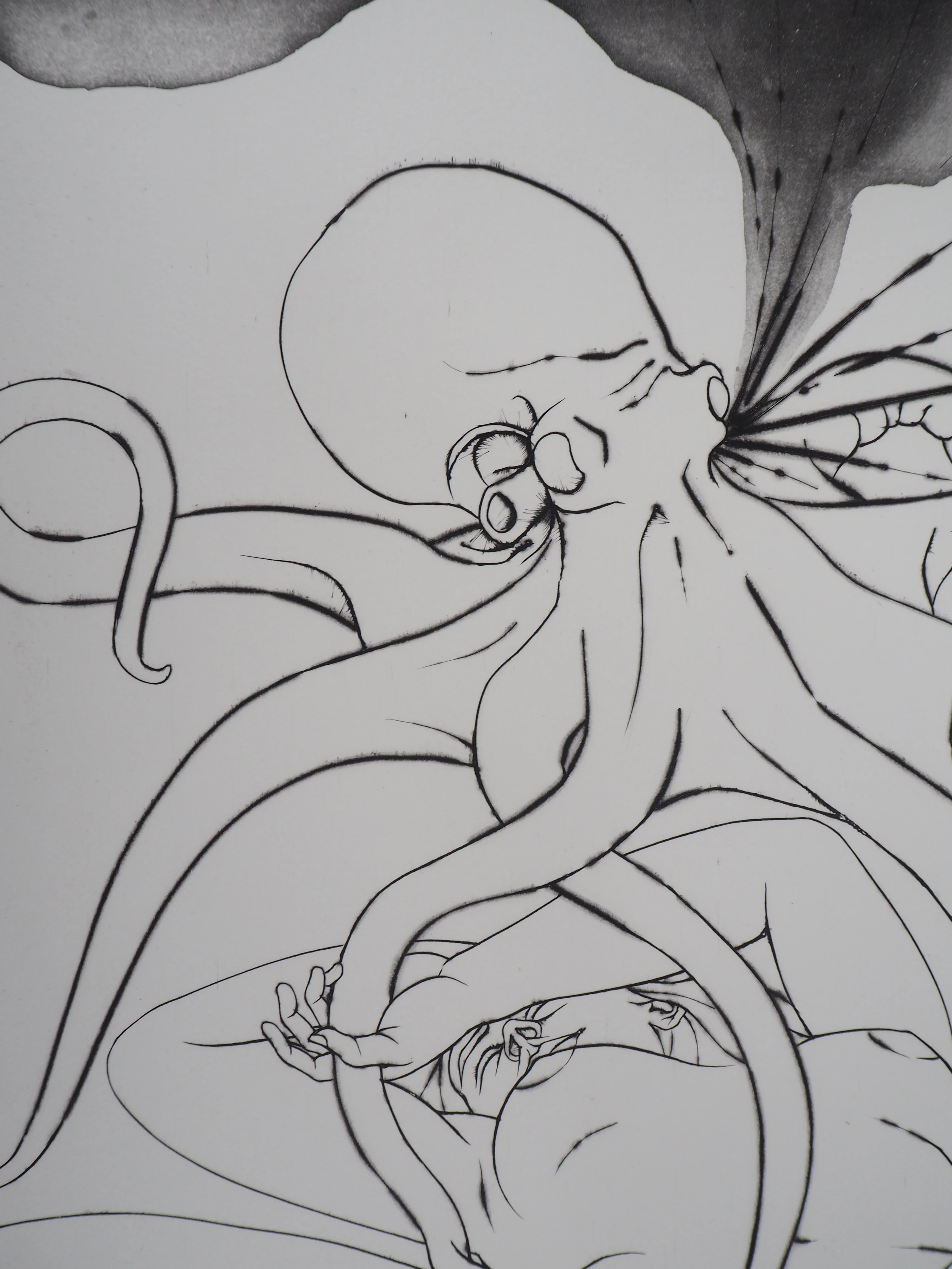 Pierre-Yves TREMOIS : L’amour du poulpe, Gravure originale signée - Image 5